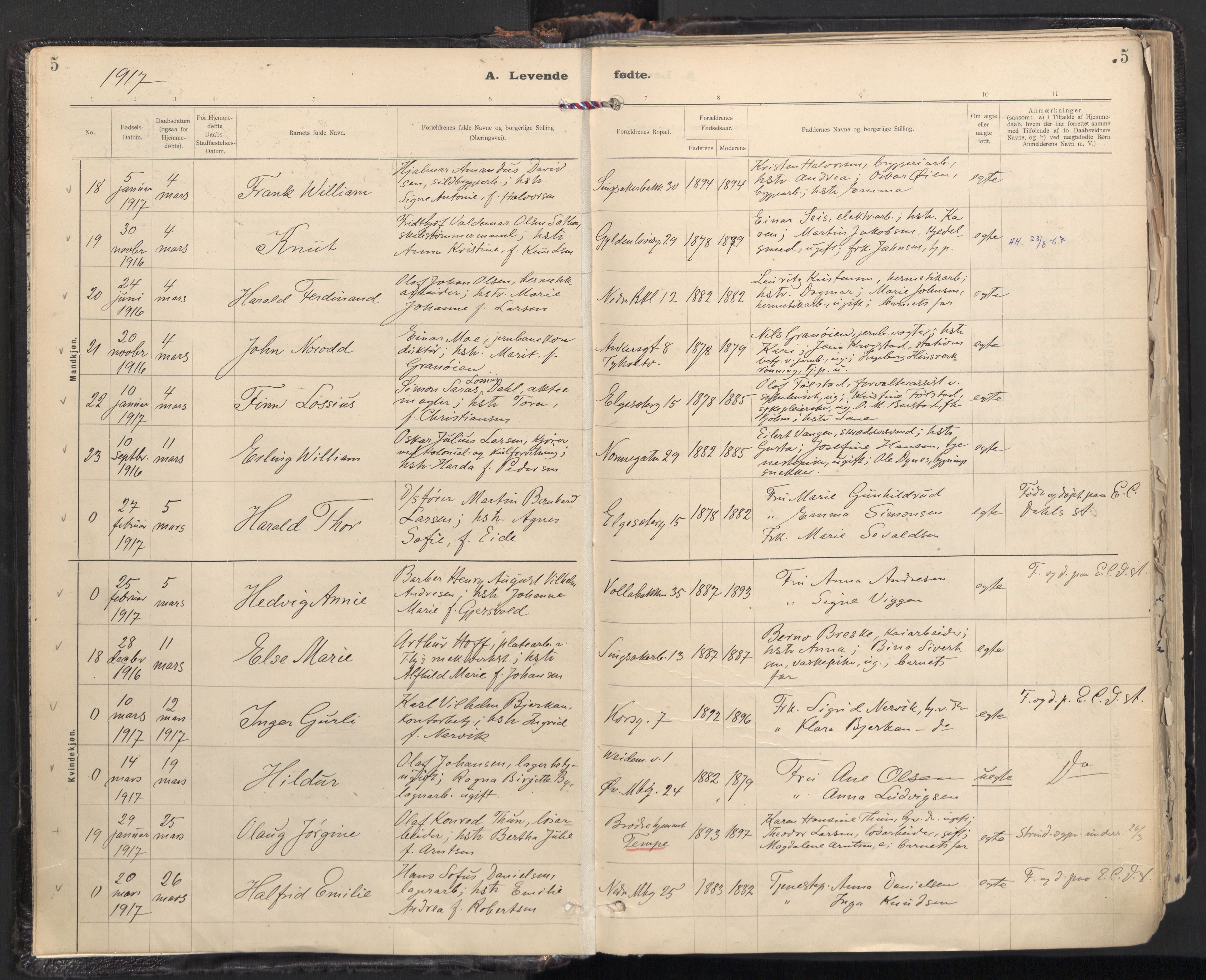 Ministerialprotokoller, klokkerbøker og fødselsregistre - Sør-Trøndelag, AV/SAT-A-1456/604/L0205: Ministerialbok nr. 604A25, 1917-1932, s. 5