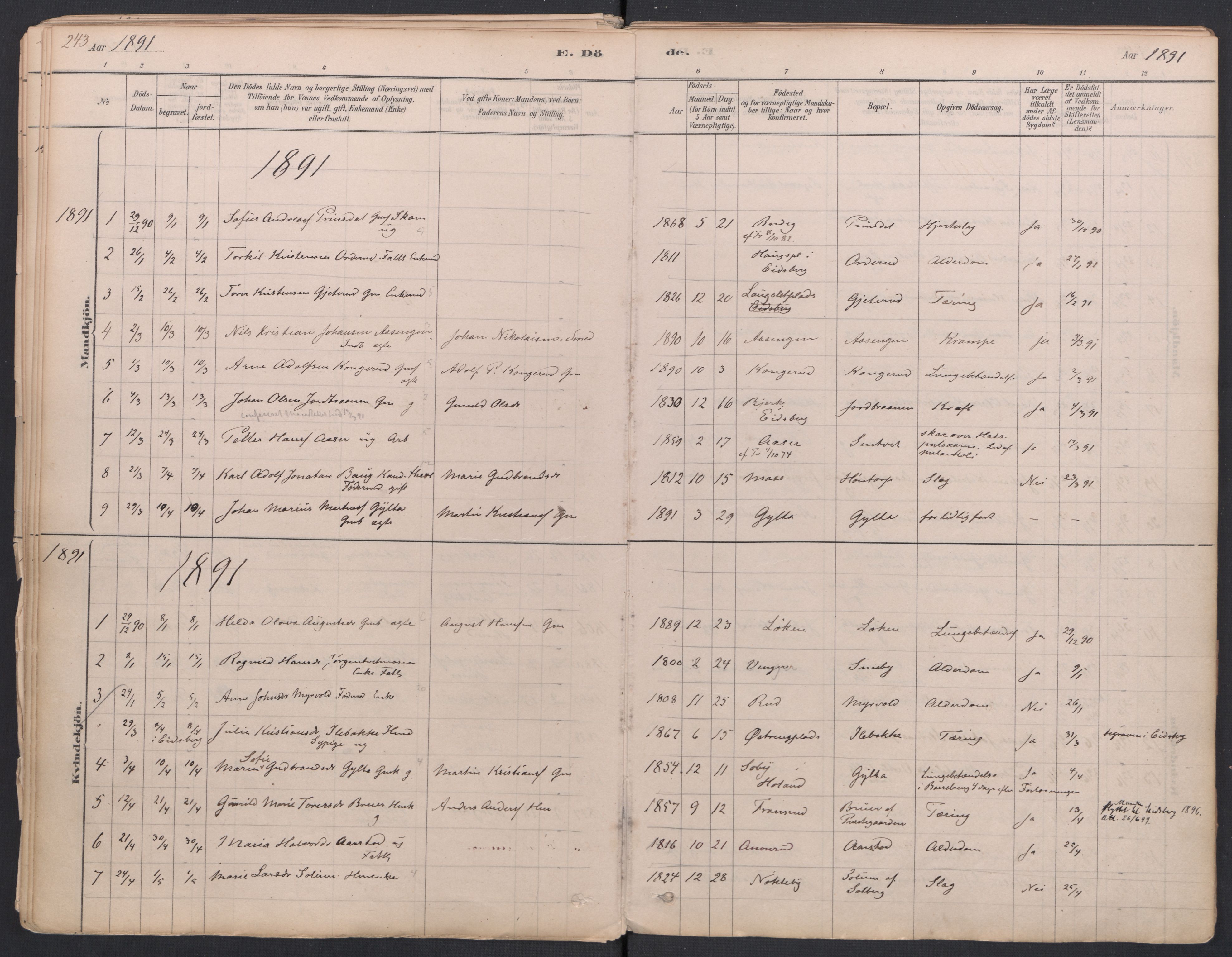 Trøgstad prestekontor Kirkebøker, AV/SAO-A-10925/F/Fa/L0010: Ministerialbok nr. I 10, 1878-1898, s. 243