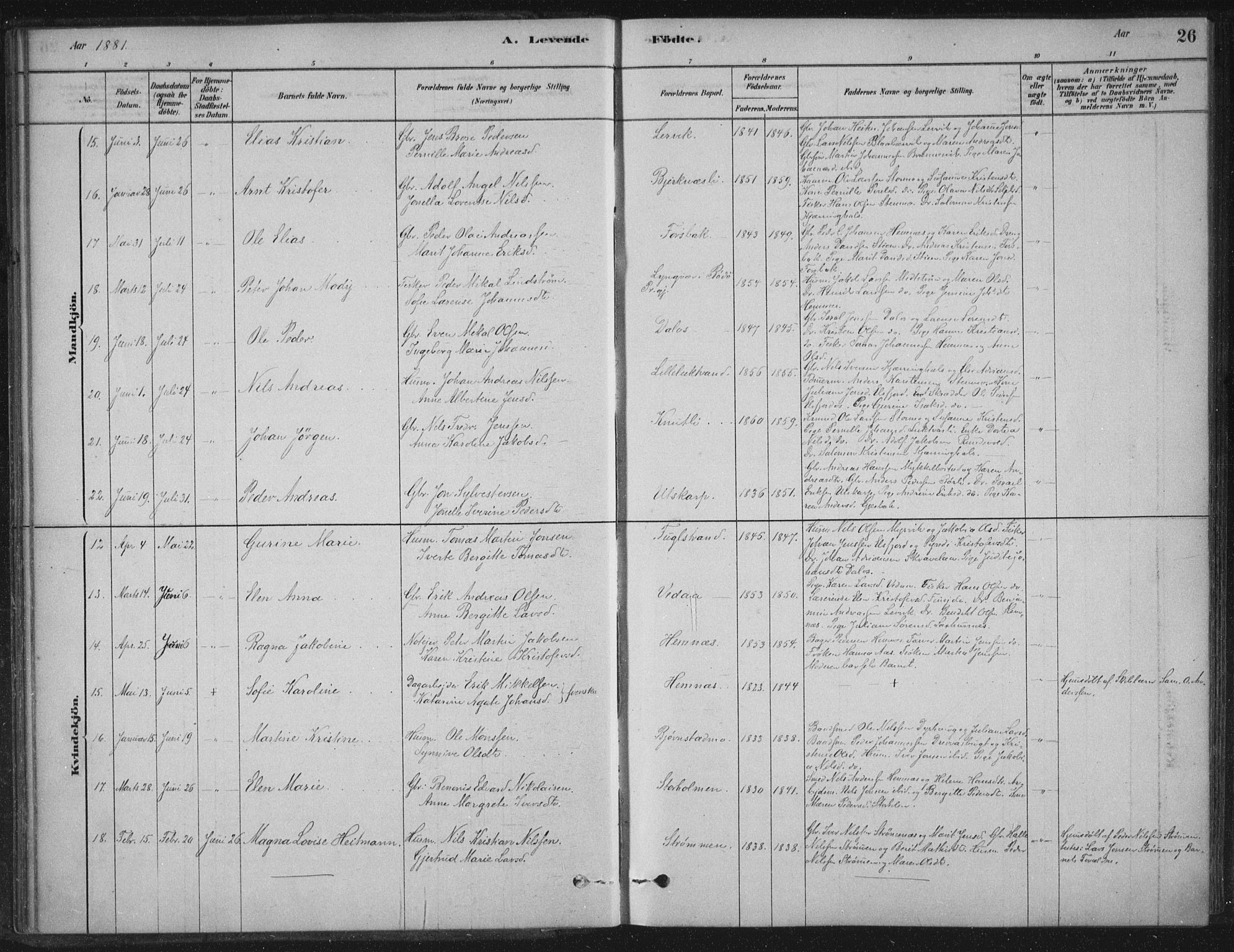 Ministerialprotokoller, klokkerbøker og fødselsregistre - Nordland, AV/SAT-A-1459/825/L0361: Ministerialbok nr. 825A15, 1878-1893, s. 26