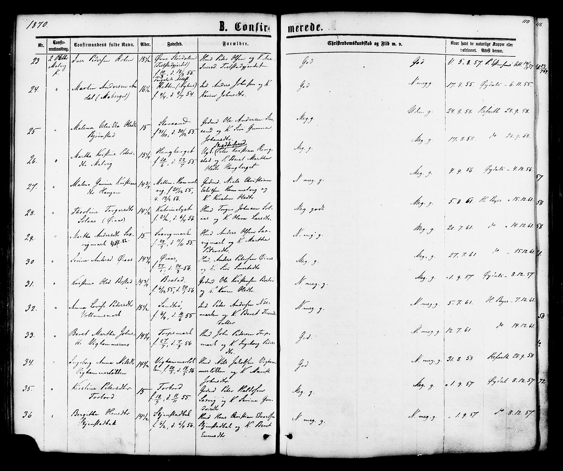 Ministerialprotokoller, klokkerbøker og fødselsregistre - Sør-Trøndelag, SAT/A-1456/616/L0409: Ministerialbok nr. 616A06, 1865-1877, s. 110