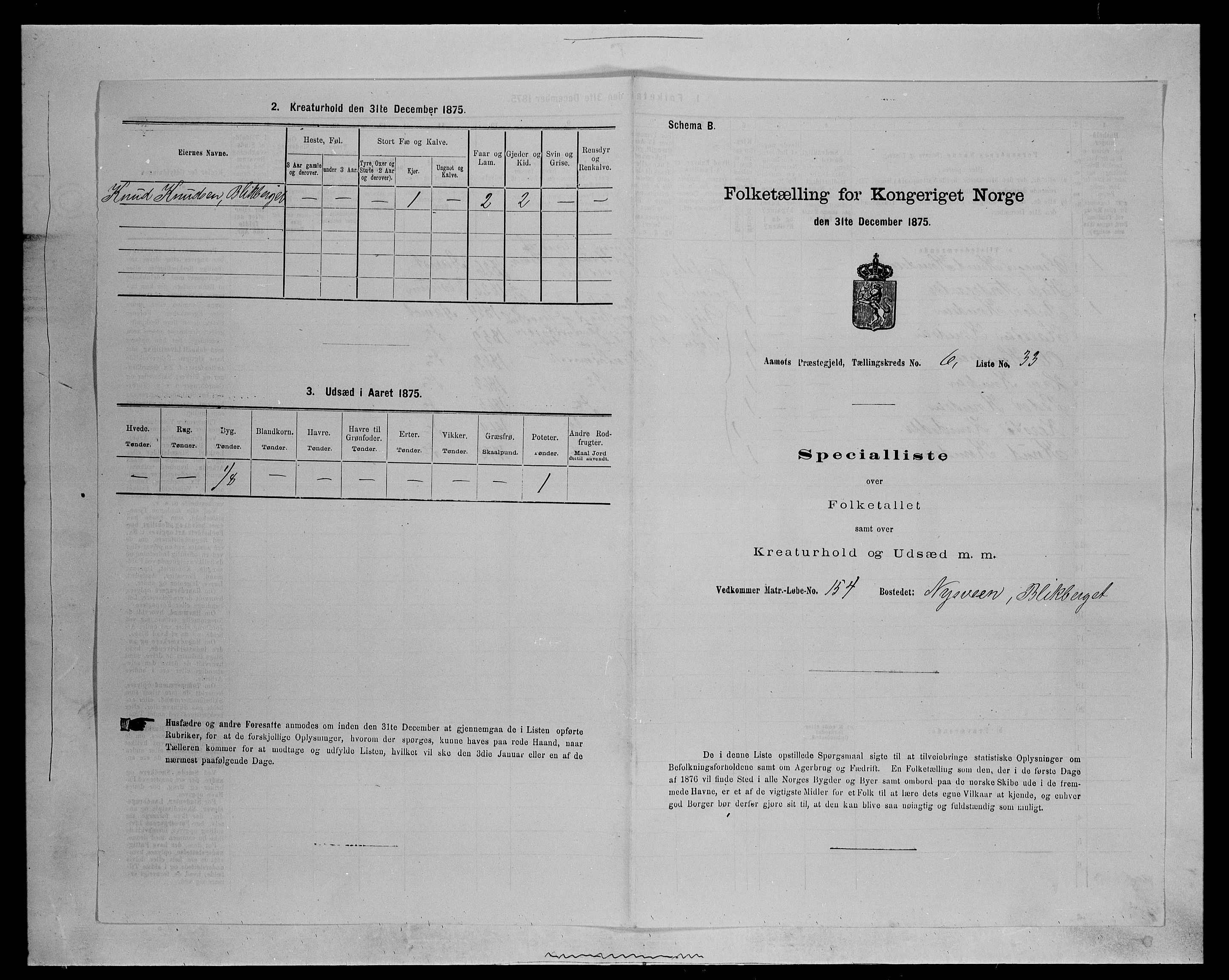 SAH, Folketelling 1875 for 0429P Åmot prestegjeld, 1875, s. 943