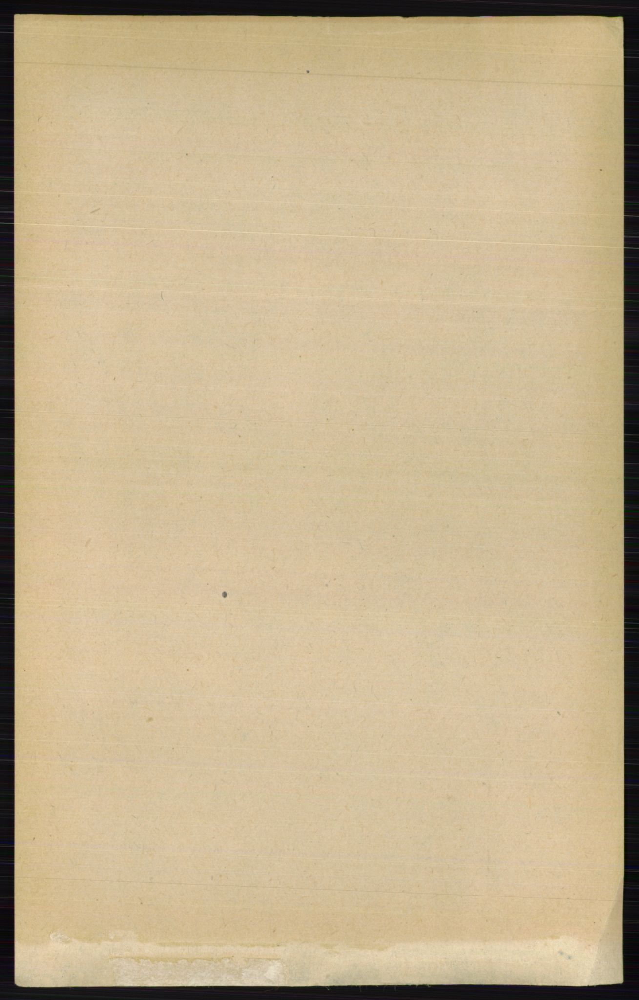 RA, Folketelling 1891 for 0411 Nes herred, 1891, s. 2608