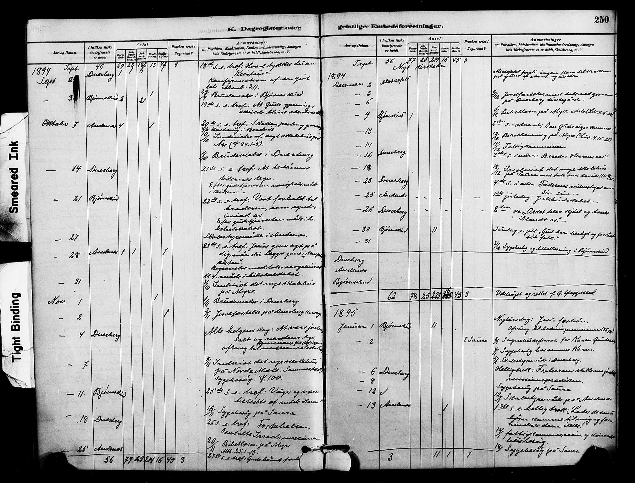 Ministerialprotokoller, klokkerbøker og fødselsregistre - Nordland, AV/SAT-A-1459/897/L1399: Ministerialbok nr. 897C06, 1881-1896, s. 250