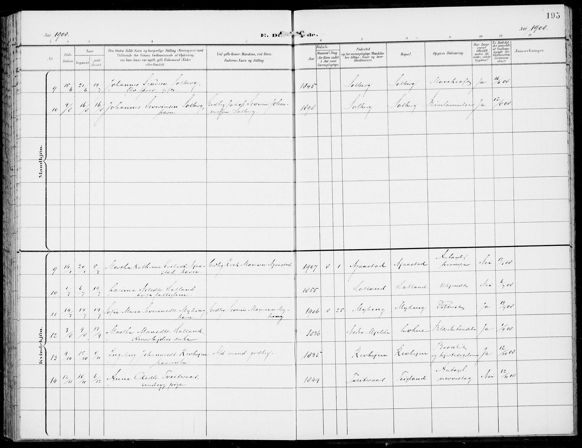 Haus sokneprestembete, AV/SAB-A-75601/H/Haa: Ministerialbok nr. C  2, 1900-1915, s. 195