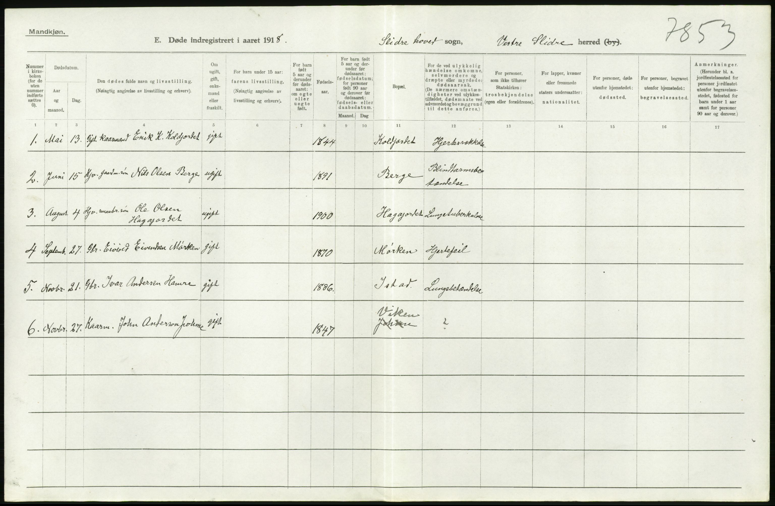 Statistisk sentralbyrå, Sosiodemografiske emner, Befolkning, RA/S-2228/D/Df/Dfb/Dfbh/L0017: Oppland fylke: Døde. Bygder og byer., 1918, s. 460