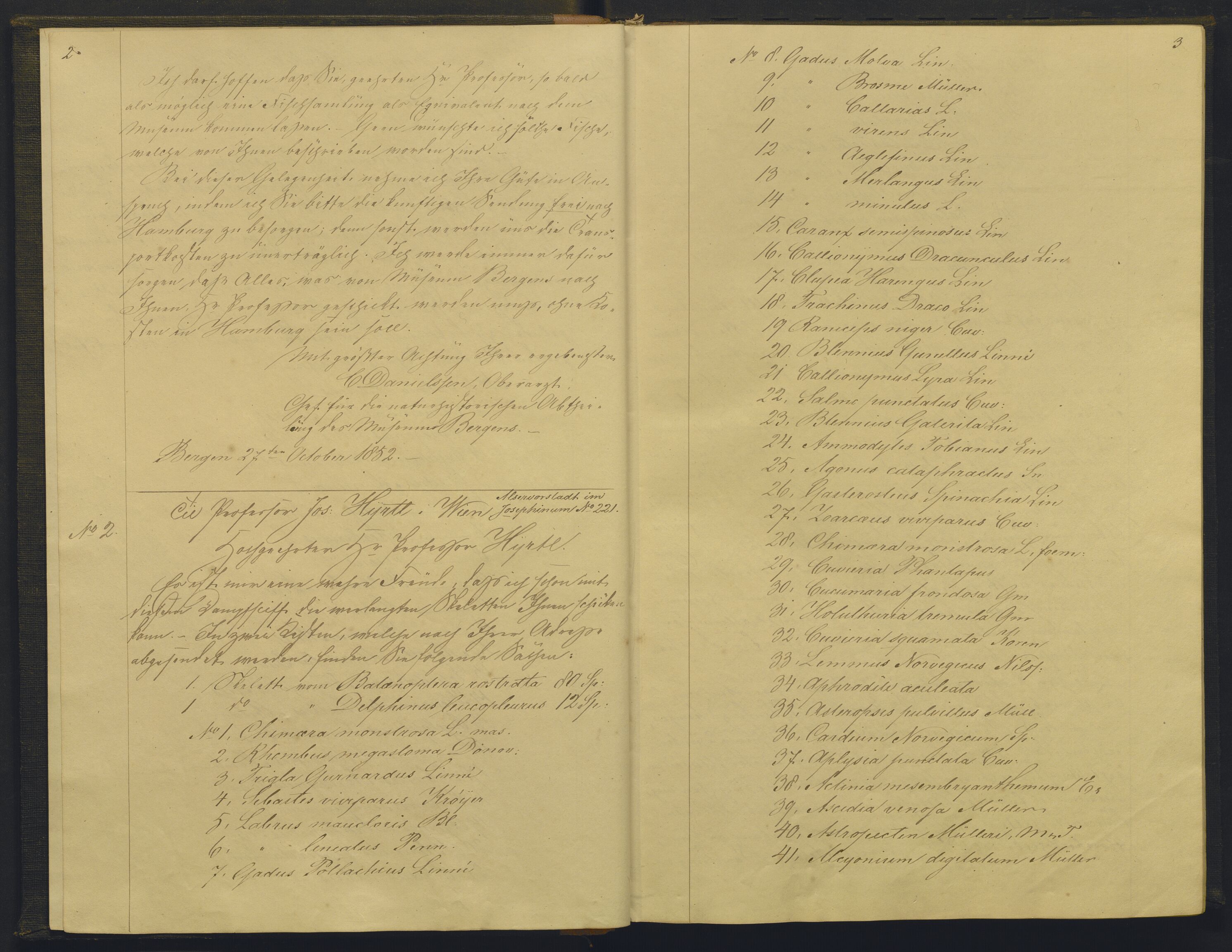 Bergens Museum, AV/SAB-A-17301/08/B/Ba/L0001: Kopibok , 1852-1874, s. 2-3