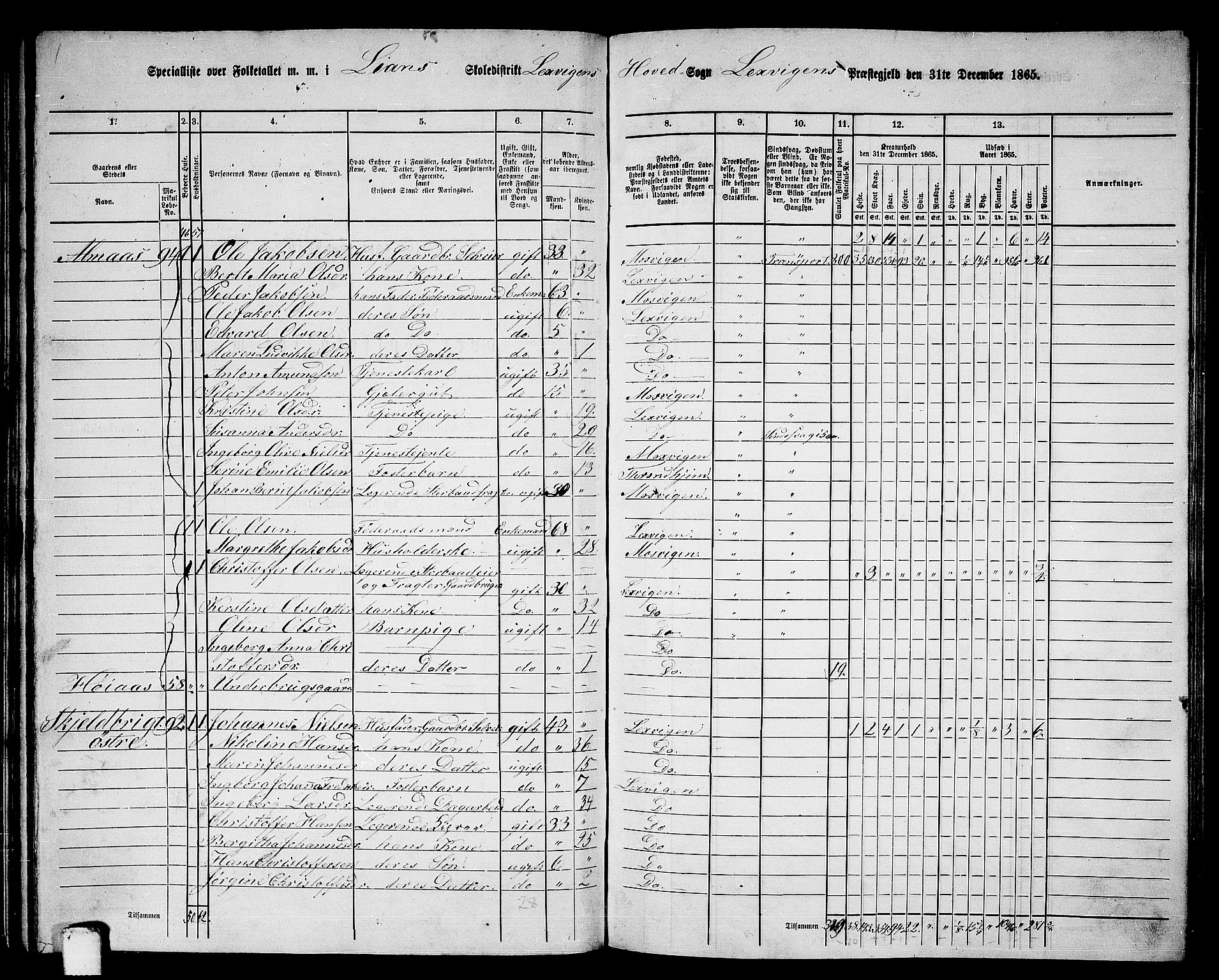 RA, Folketelling 1865 for 1718P Leksvik prestegjeld, 1865, s. 72