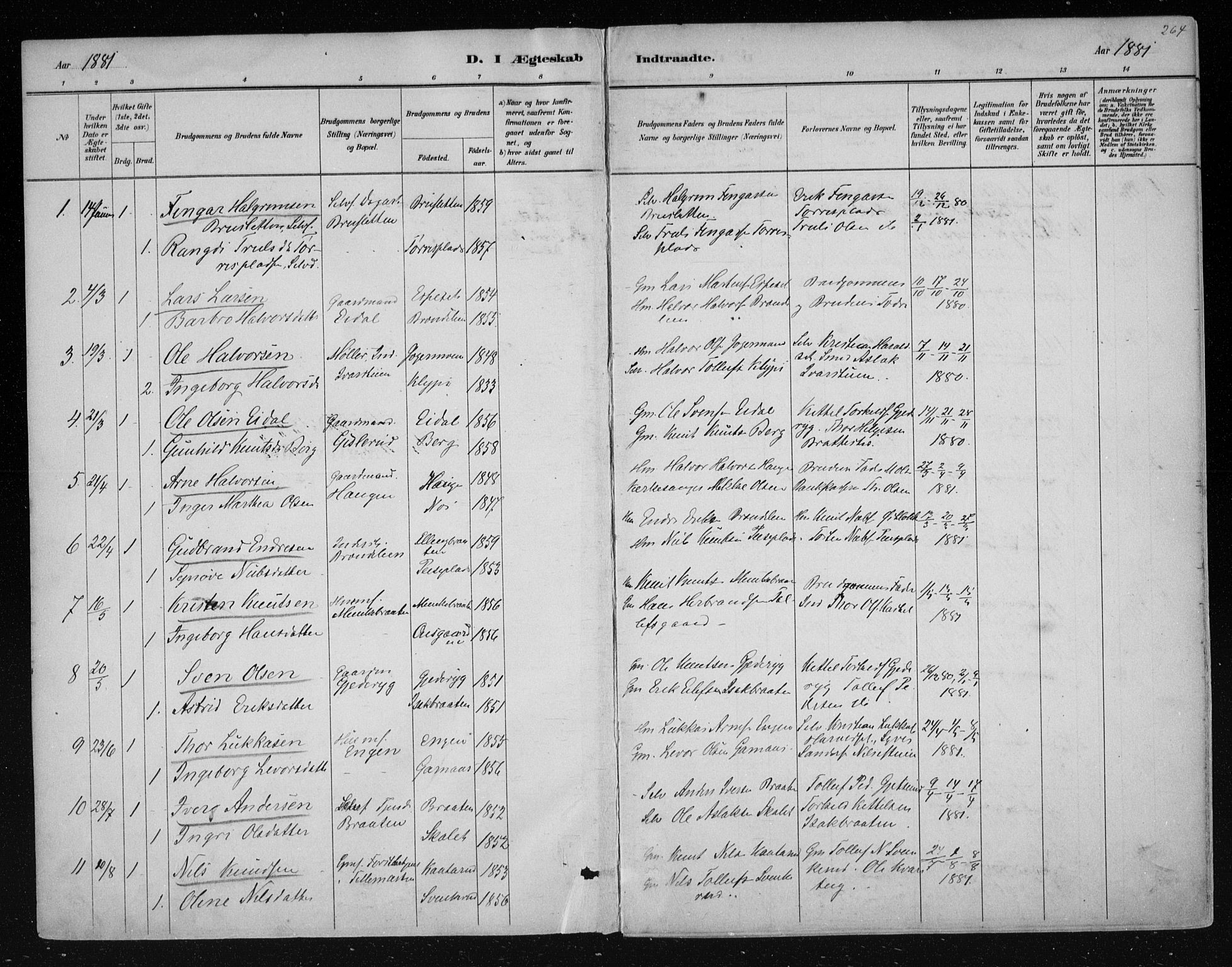 Nes kirkebøker, AV/SAKO-A-236/F/Fa/L0011: Ministerialbok nr. 11, 1881-1912, s. 264