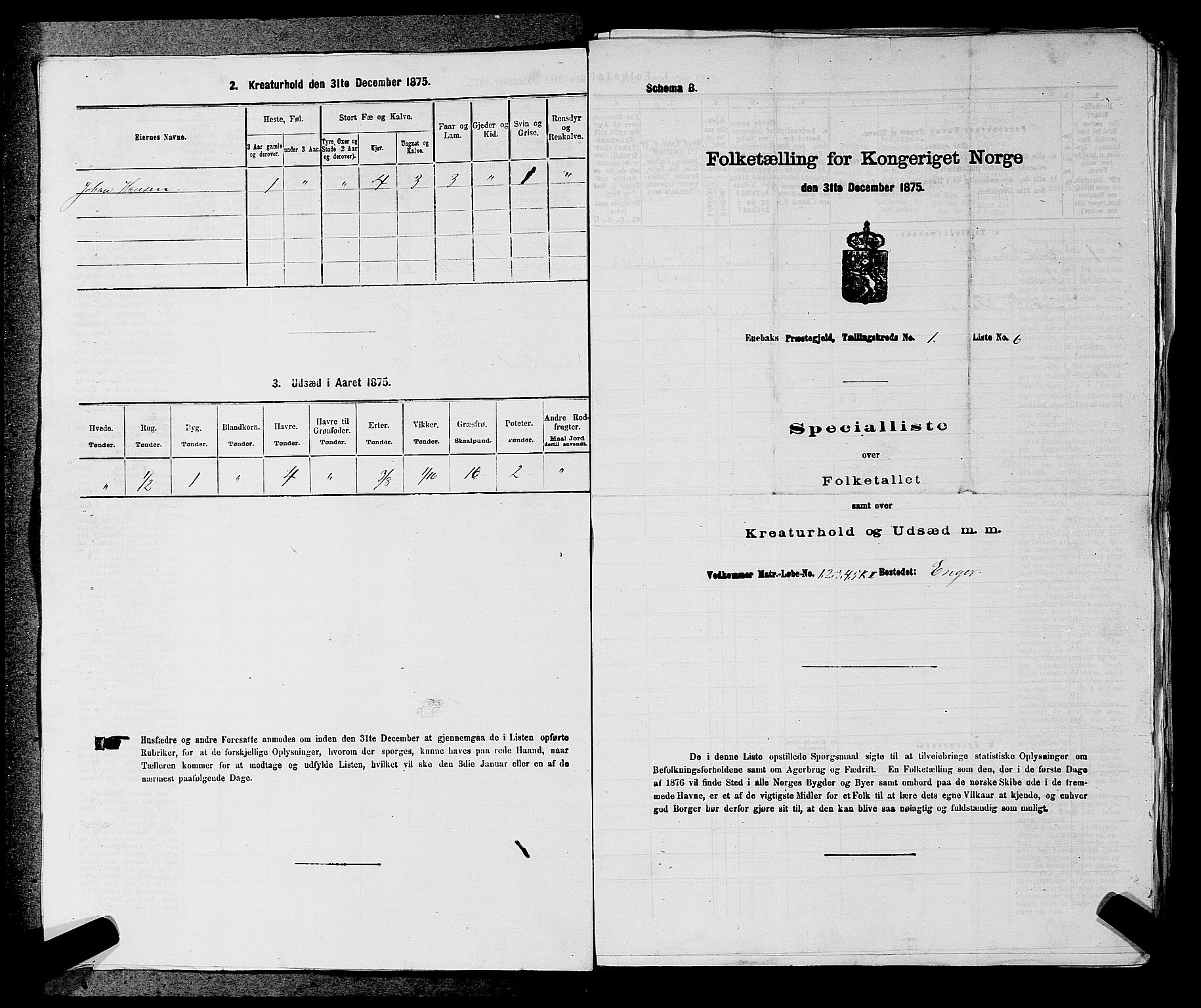 RA, Folketelling 1875 for 0229P Enebakk prestegjeld, 1875, s. 40