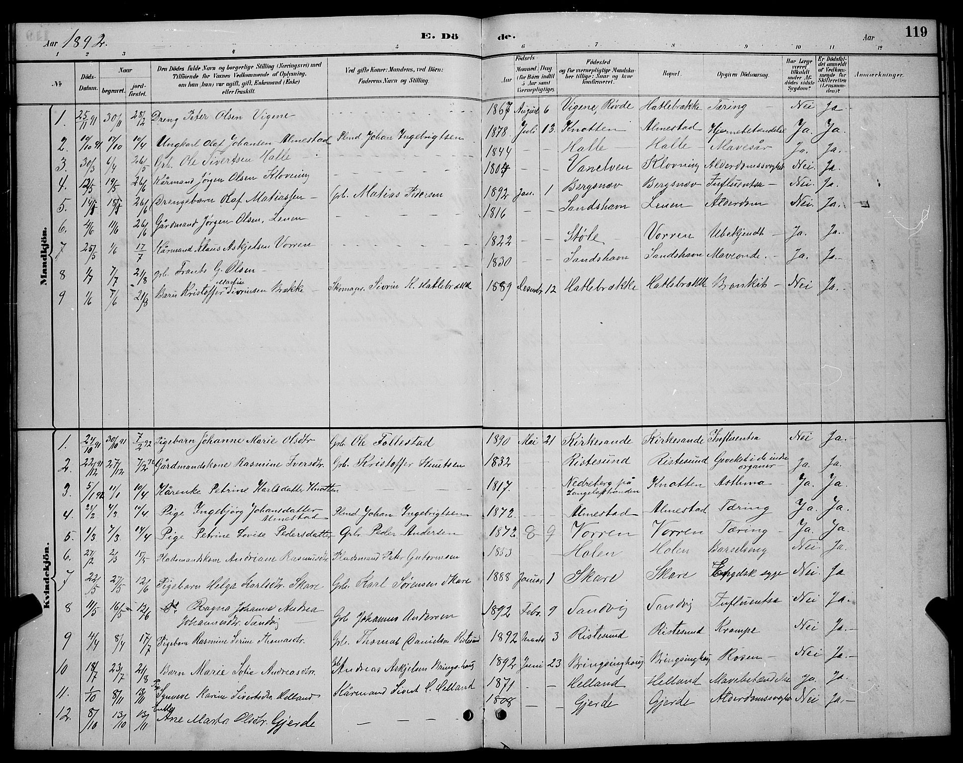 Ministerialprotokoller, klokkerbøker og fødselsregistre - Møre og Romsdal, AV/SAT-A-1454/503/L0048: Klokkerbok nr. 503C03, 1885-1893, s. 119