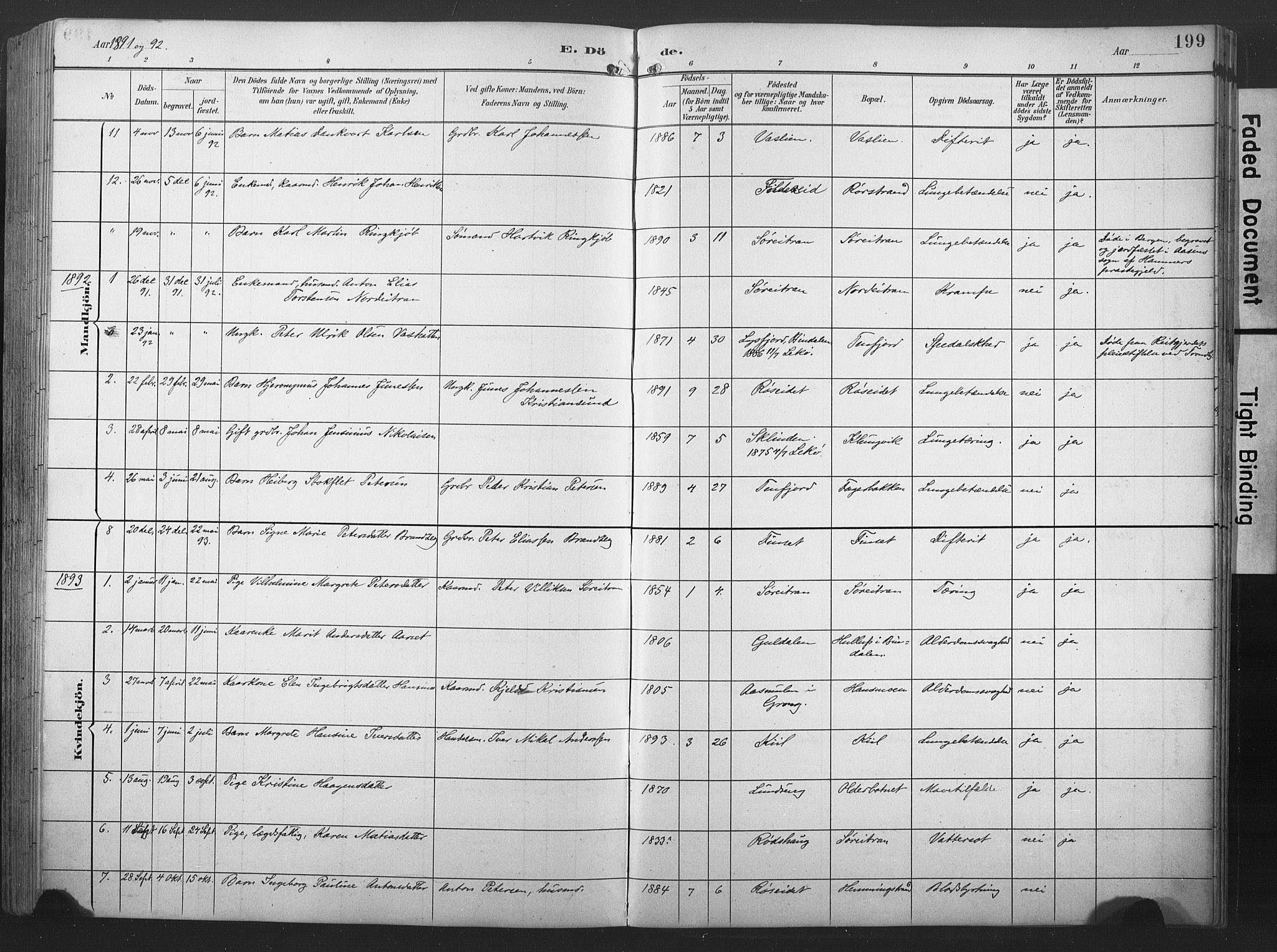 Ministerialprotokoller, klokkerbøker og fødselsregistre - Nord-Trøndelag, SAT/A-1458/789/L0706: Klokkerbok nr. 789C01, 1888-1931, s. 199