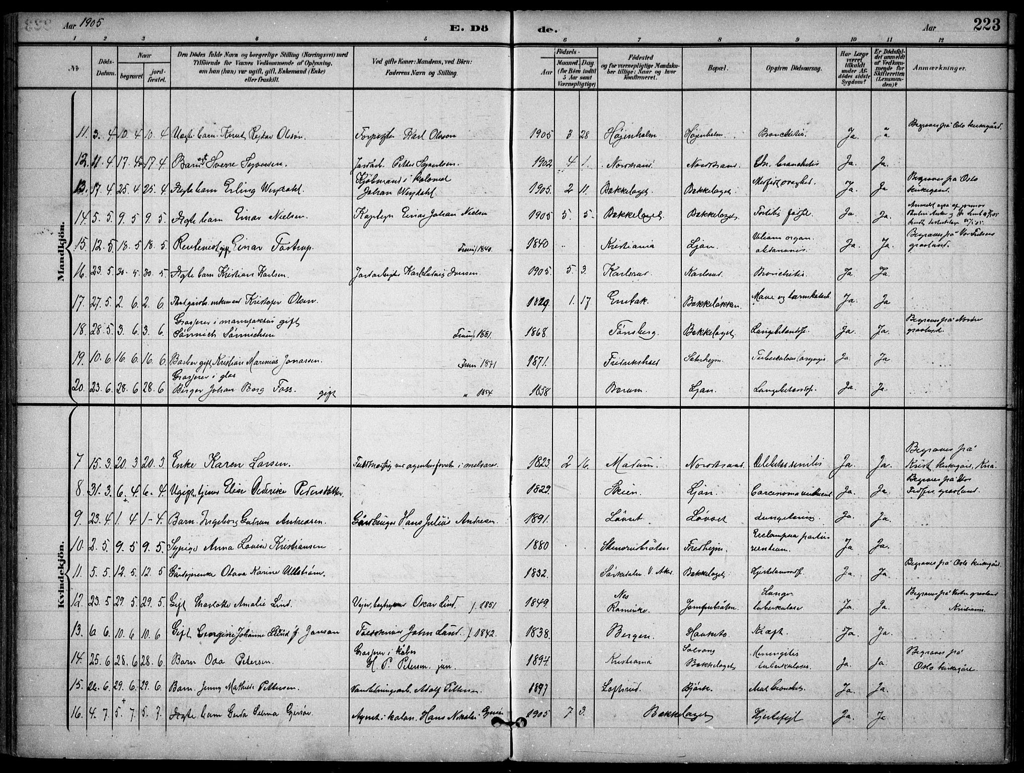 Nordstrand prestekontor Kirkebøker, AV/SAO-A-10362a/F/Fa/L0001: Ministerialbok nr. 1, 1900-1914, s. 223