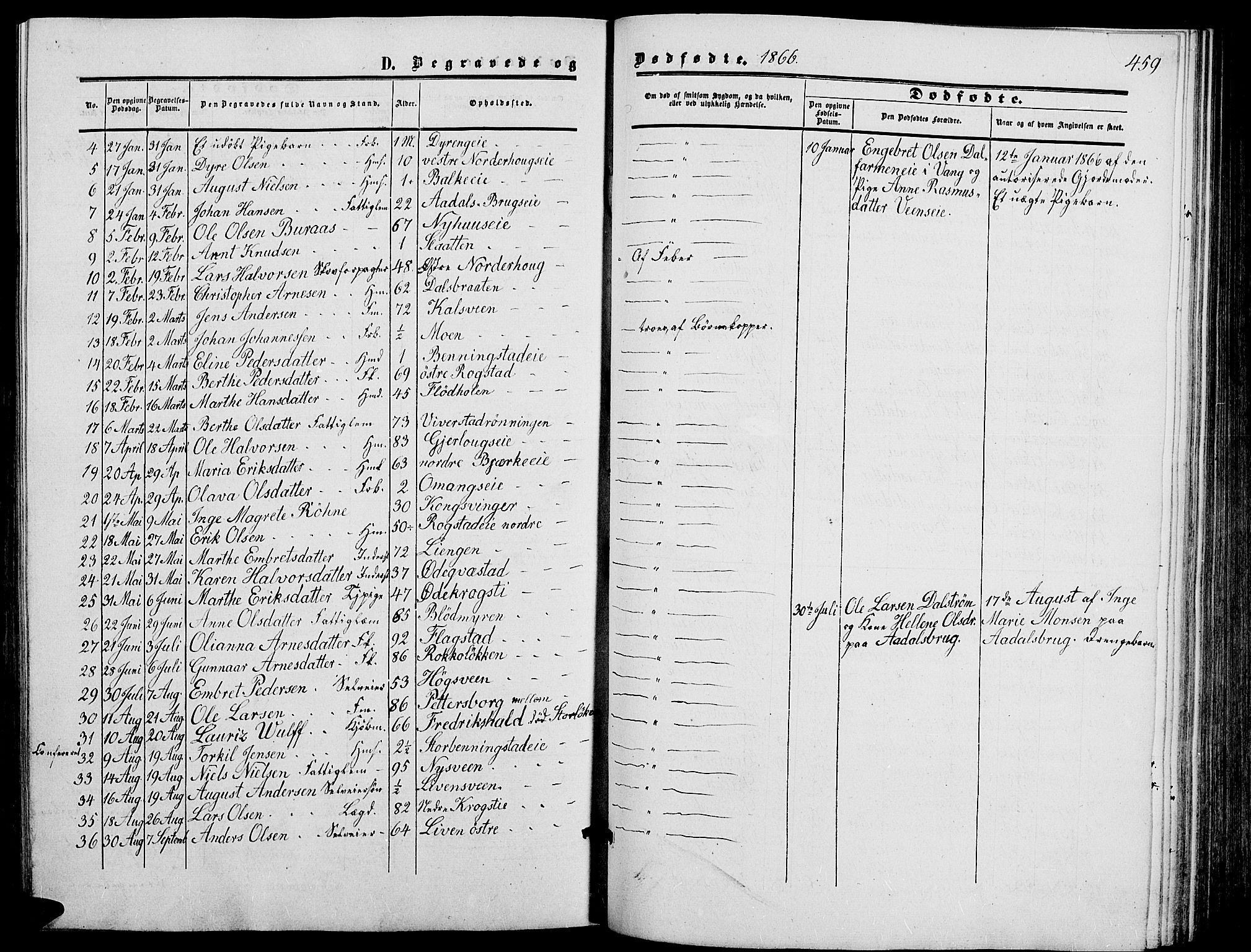 Løten prestekontor, AV/SAH-PREST-022/L/La/L0004: Klokkerbok nr. 4, 1863-1877, s. 459