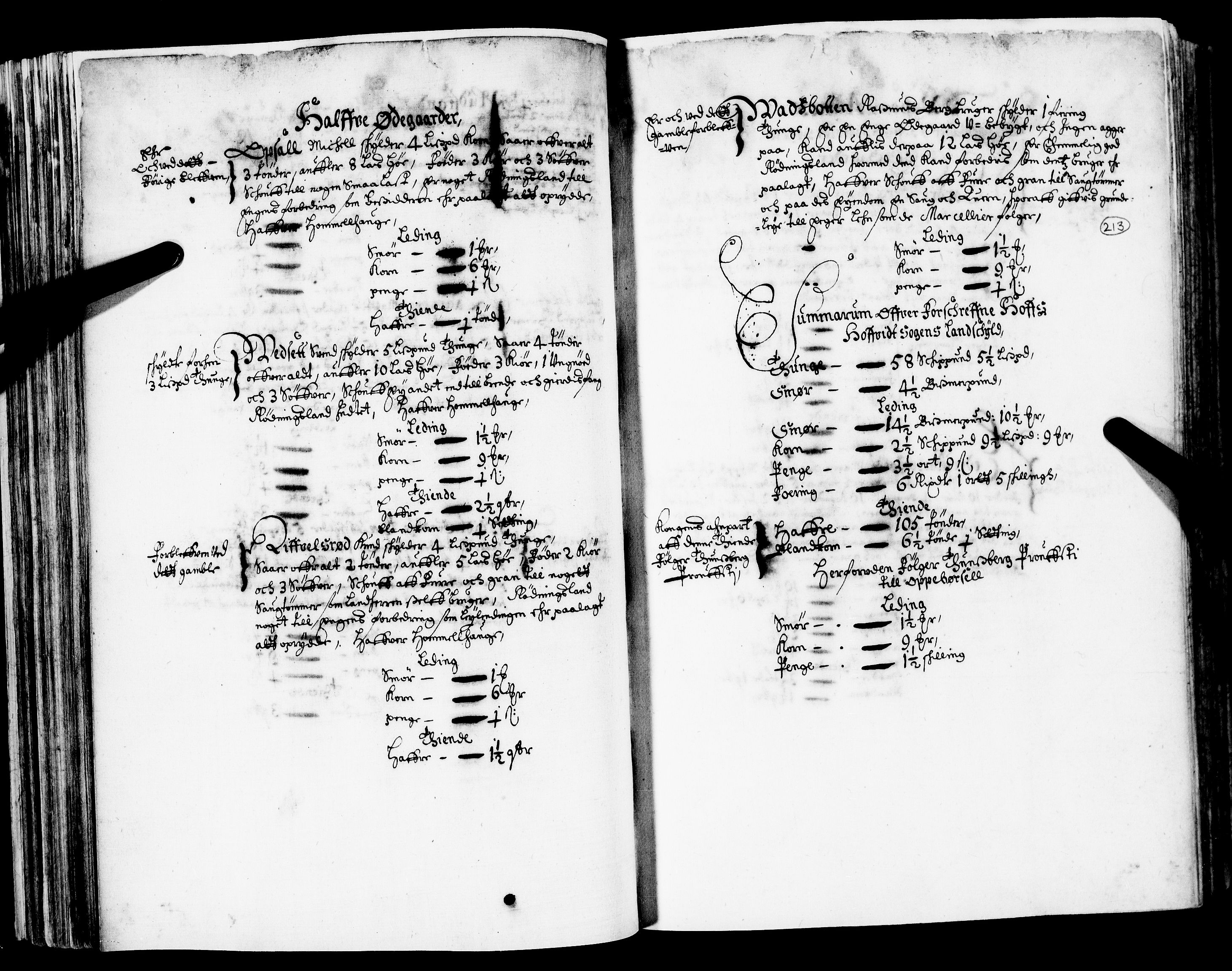 Rentekammeret inntil 1814, Realistisk ordnet avdeling, AV/RA-EA-4070/N/Nb/Nba/L0020: Tønsberg len, 2. del, 1668, s. 212b-213a