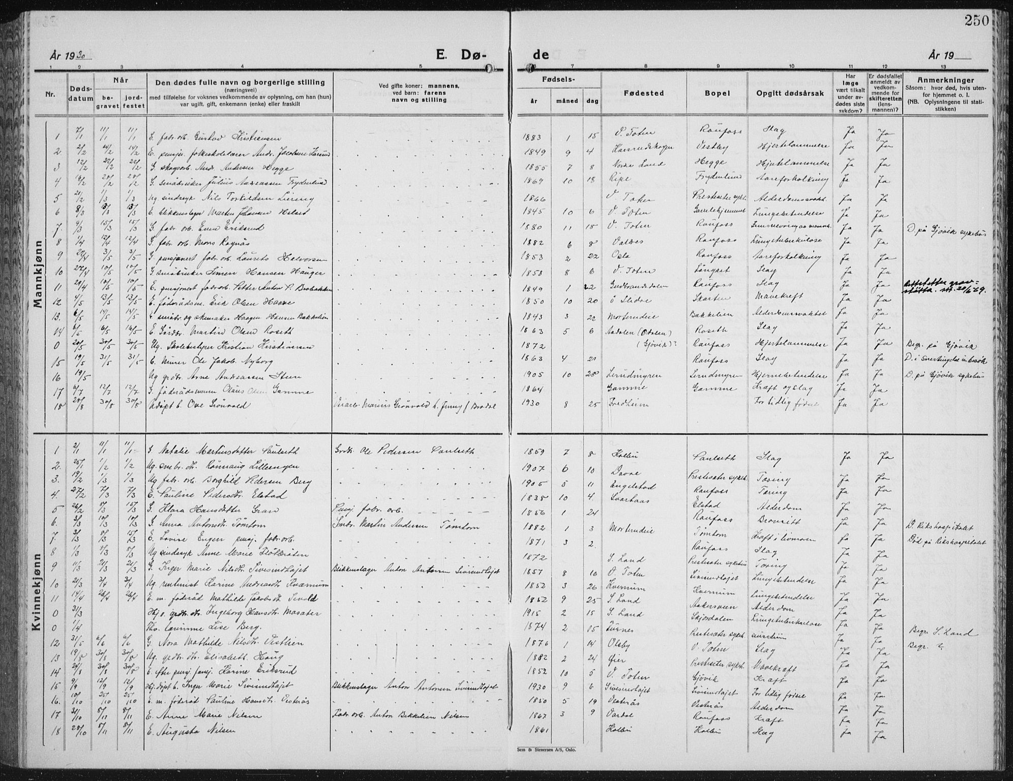 Vestre Toten prestekontor, AV/SAH-PREST-108/H/Ha/Hab/L0018: Klokkerbok nr. 18, 1928-1941, s. 250