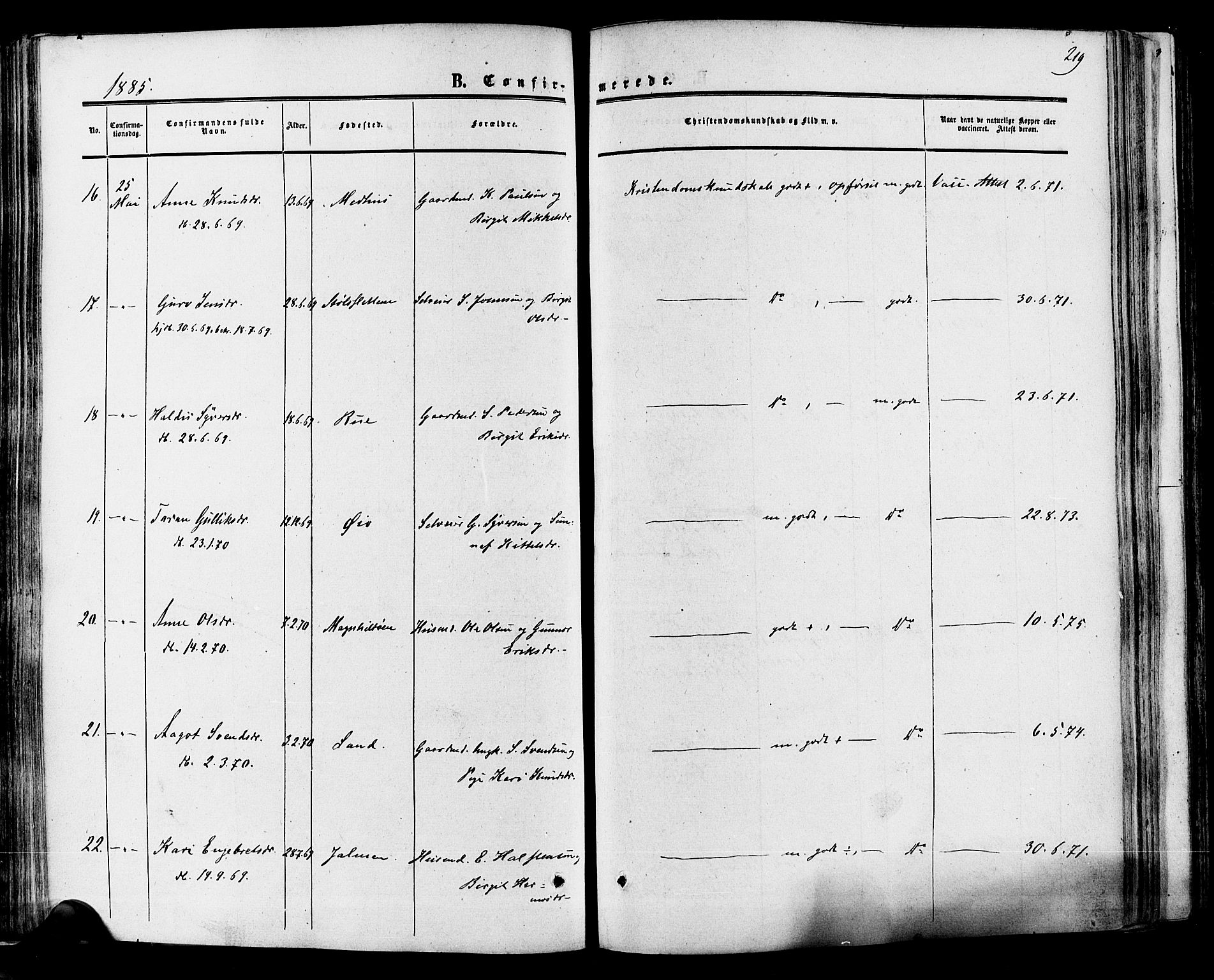 Hol kirkebøker, SAKO/A-227/F/Fa/L0002: Ministerialbok nr. I 2, 1870-1886, s. 219