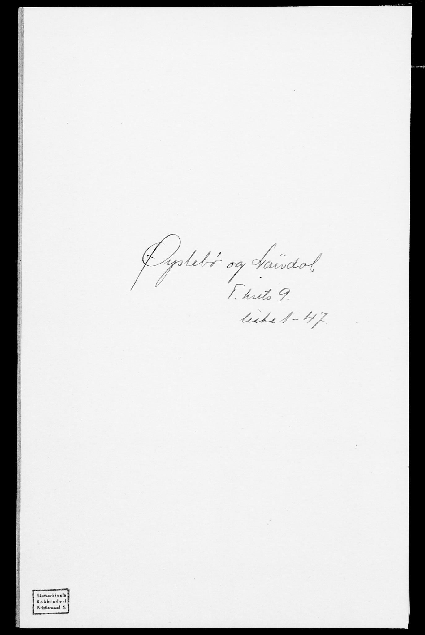 SAK, Folketelling 1875 for 1020P Holum prestegjeld, 1875, s. 958