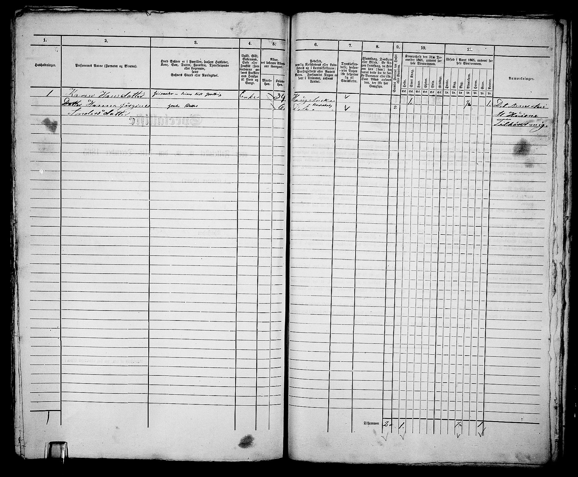 RA, Folketelling 1865 for 0601B Norderhov prestegjeld, Hønefoss kjøpstad, 1865, s. 303