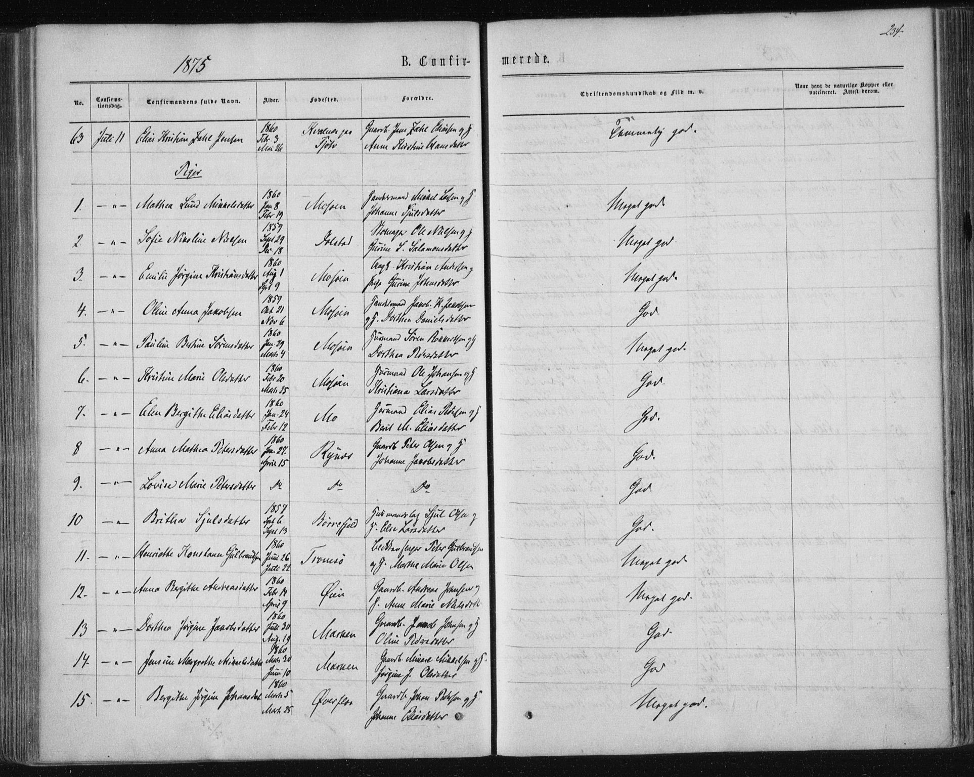 Ministerialprotokoller, klokkerbøker og fødselsregistre - Nordland, AV/SAT-A-1459/820/L0294: Ministerialbok nr. 820A15, 1866-1879, s. 234