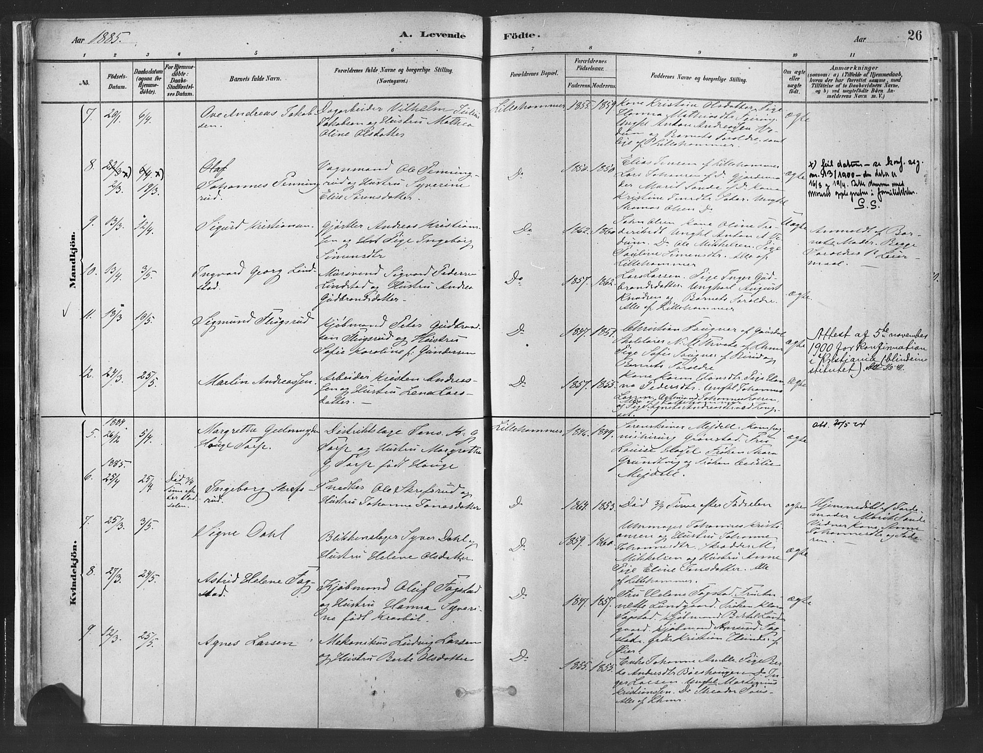 Fåberg prestekontor, AV/SAH-PREST-086/H/Ha/Haa/L0010: Ministerialbok nr. 10, 1879-1900, s. 26