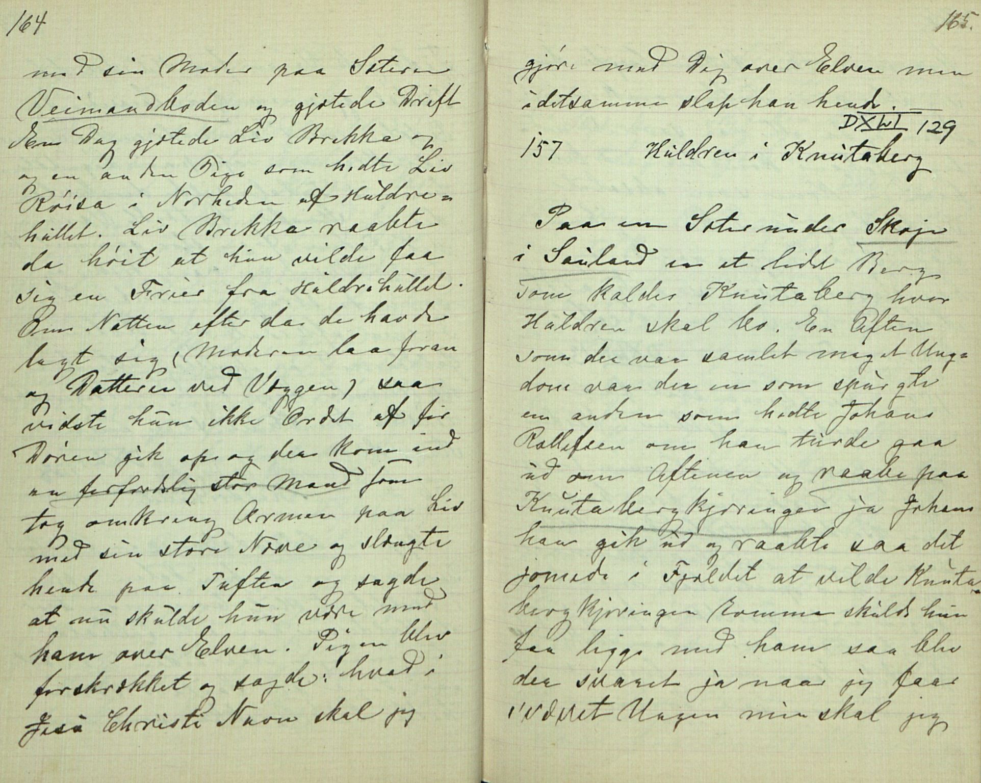Rikard Berge, TEMU/TGM-A-1003/F/L0007/0006: 251-299 / 256 Samlet af Halvor Nilsen Tveten i Bø, 1893, s. 164-165