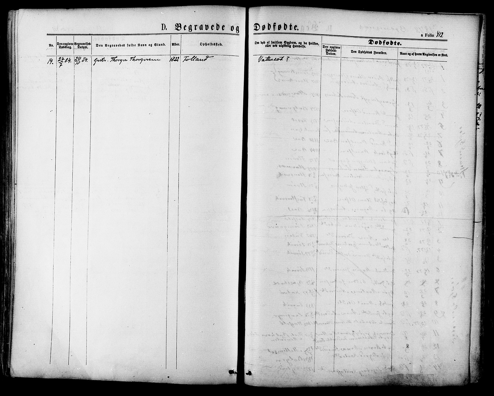 Ministerialprotokoller, klokkerbøker og fødselsregistre - Møre og Romsdal, SAT/A-1454/568/L0806: Ministerialbok nr. 568A12 /2, 1878-1884, s. 412