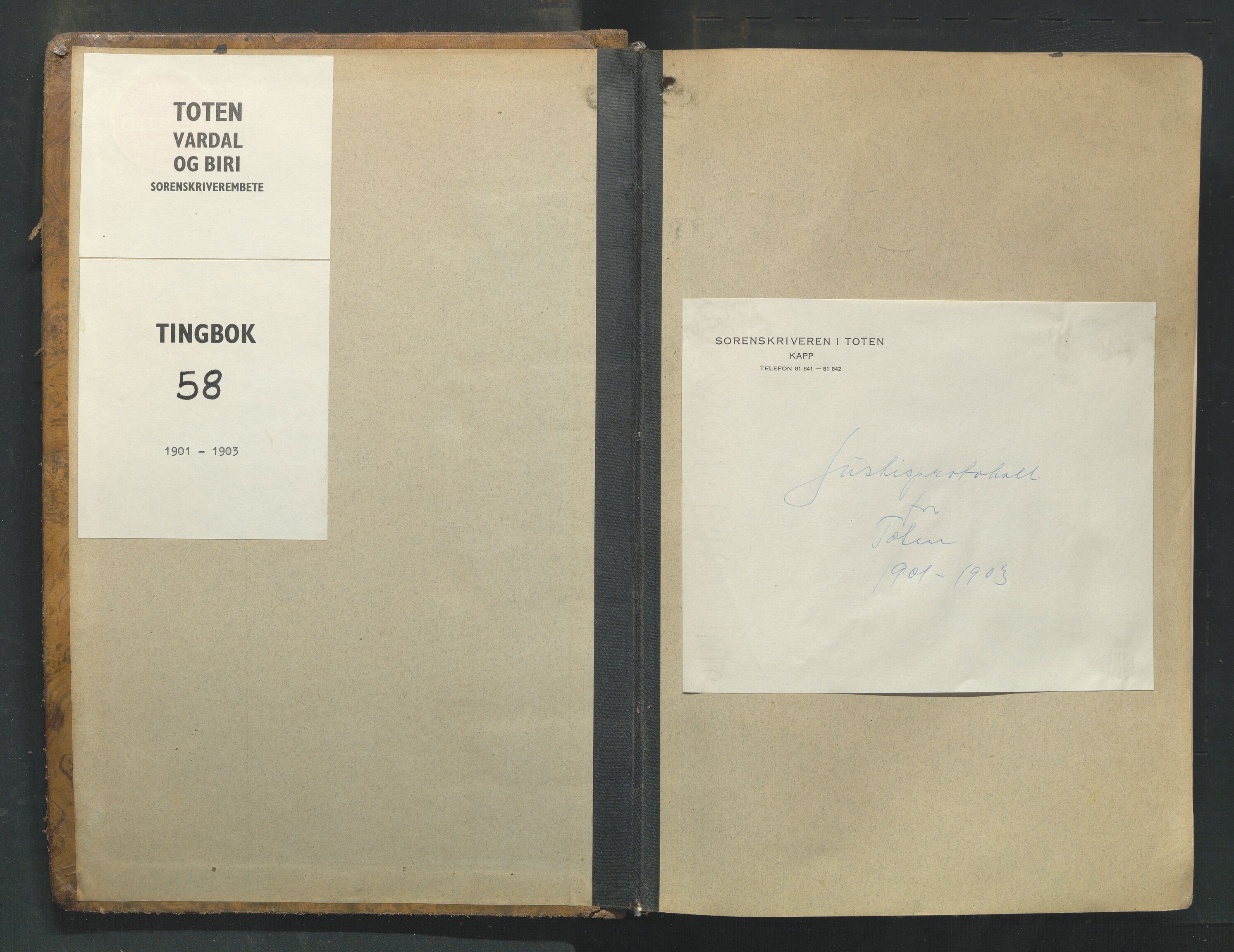 Toten tingrett, AV/SAH-TING-006/G/Gb/Gba/L0058: Tingbok, 1901-1904