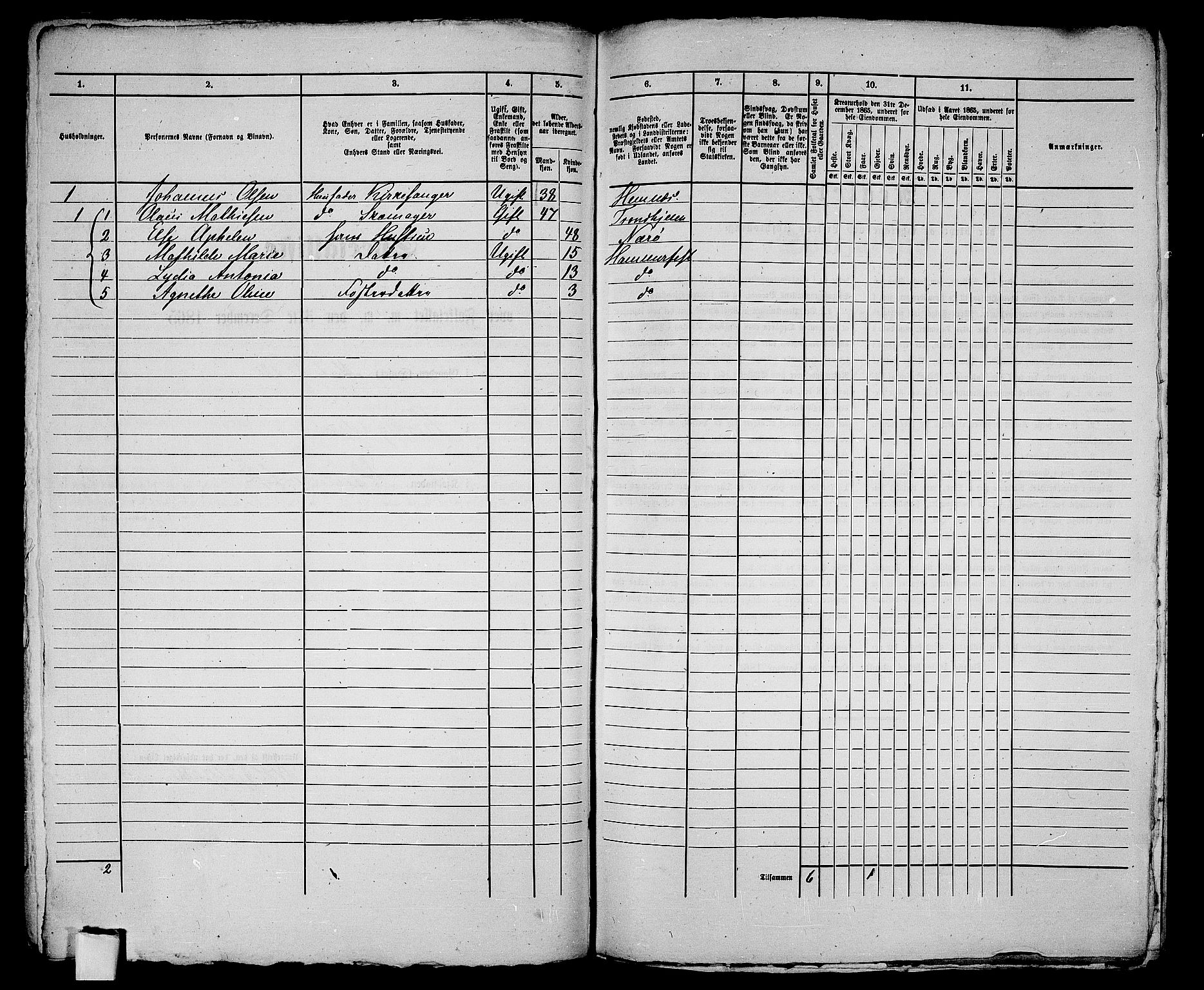 RA, Folketelling 1865 for 2001B Hammerfest prestegjeld, Hammerfest kjøpstad, 1865, s. 174