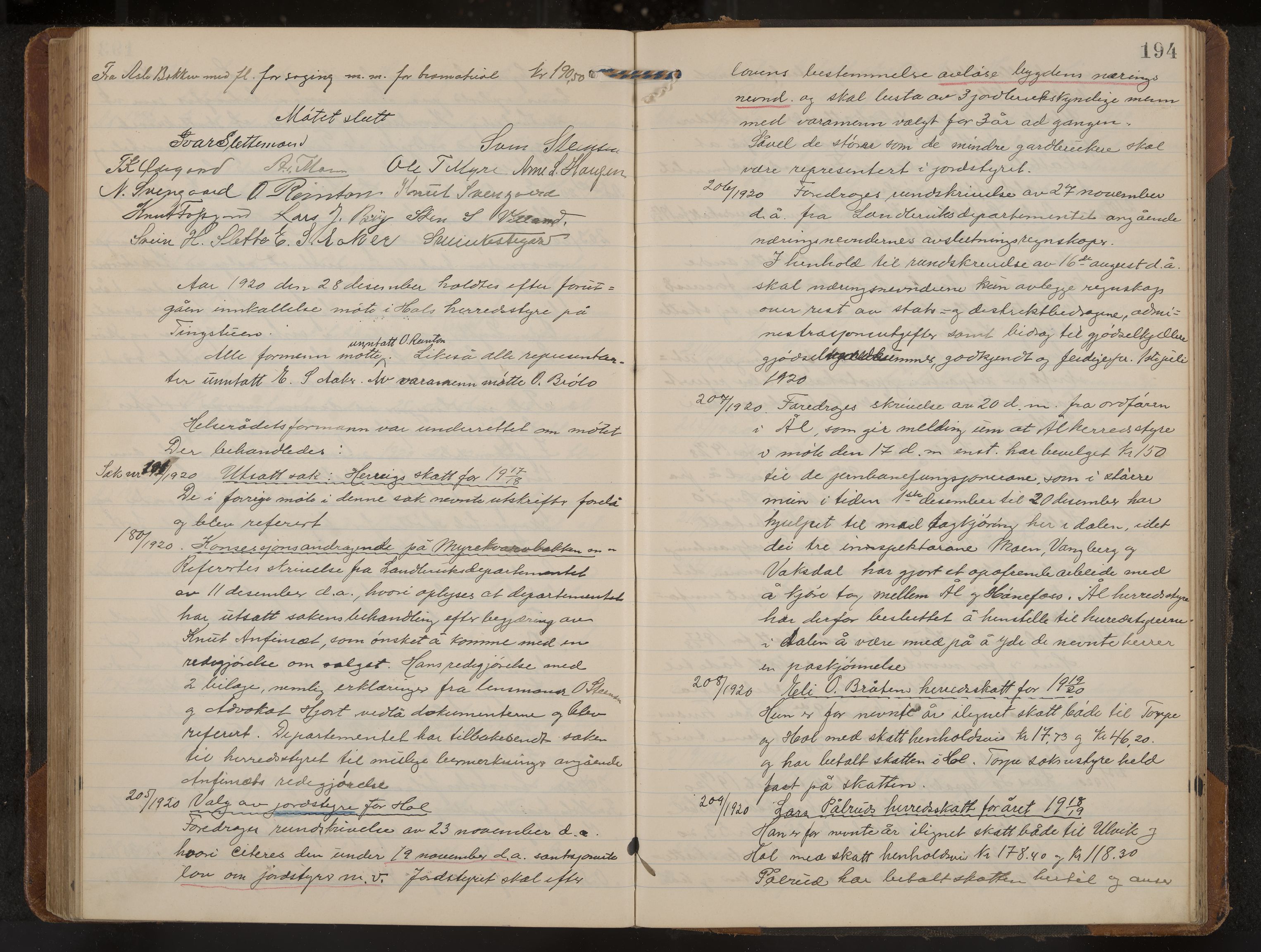 Hol formannskap og sentraladministrasjon, IKAK/0620021-1/A/L0006: Møtebok, 1916-1922, s. 194