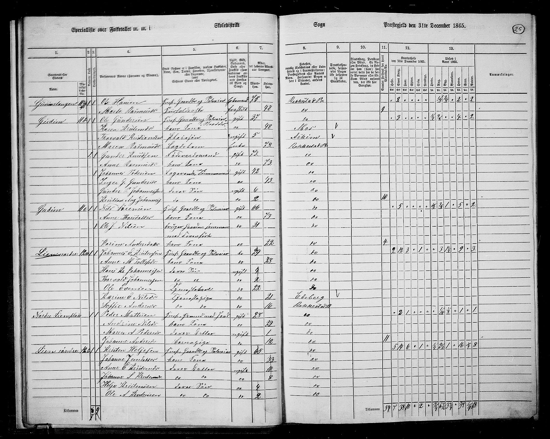 RA, Folketelling 1865 for 0128P Rakkestad prestegjeld, 1865, s. 26