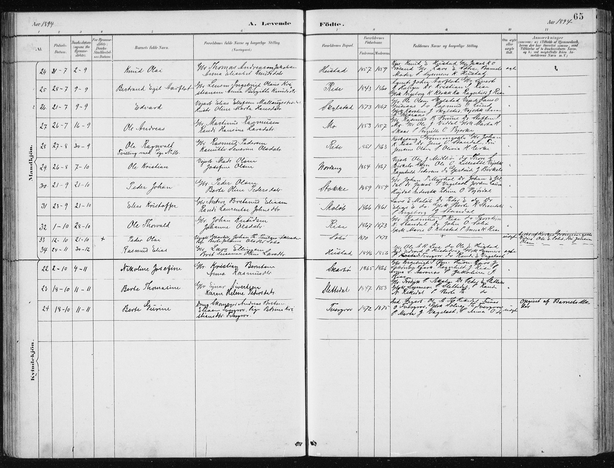 Ministerialprotokoller, klokkerbøker og fødselsregistre - Møre og Romsdal, AV/SAT-A-1454/515/L0215: Klokkerbok nr. 515C02, 1884-1906, s. 65