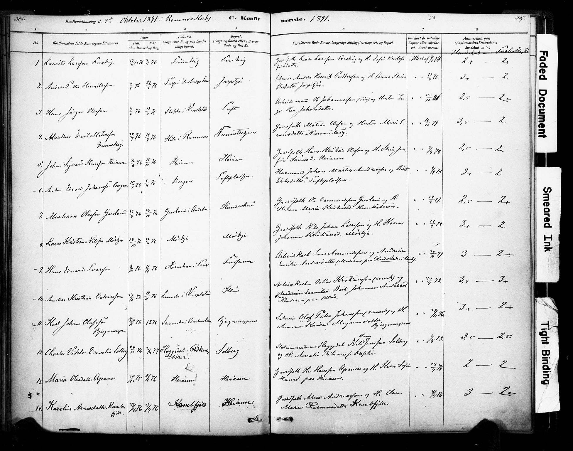 Ramnes kirkebøker, AV/SAKO-A-314/F/Fa/L0007: Ministerialbok nr. I 7, 1878-1895, s. 306-307