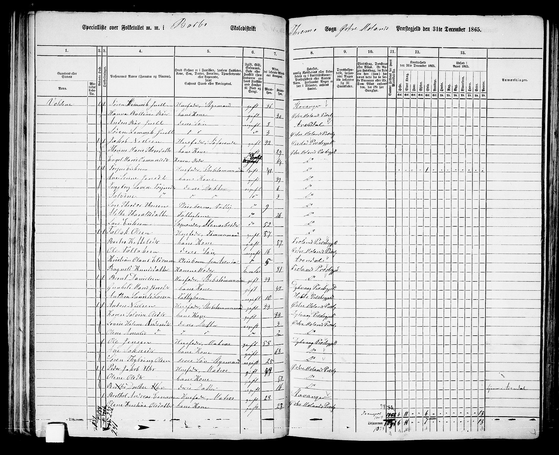 RA, Folketelling 1865 for 0918P Austre Moland prestegjeld, 1865, s. 96