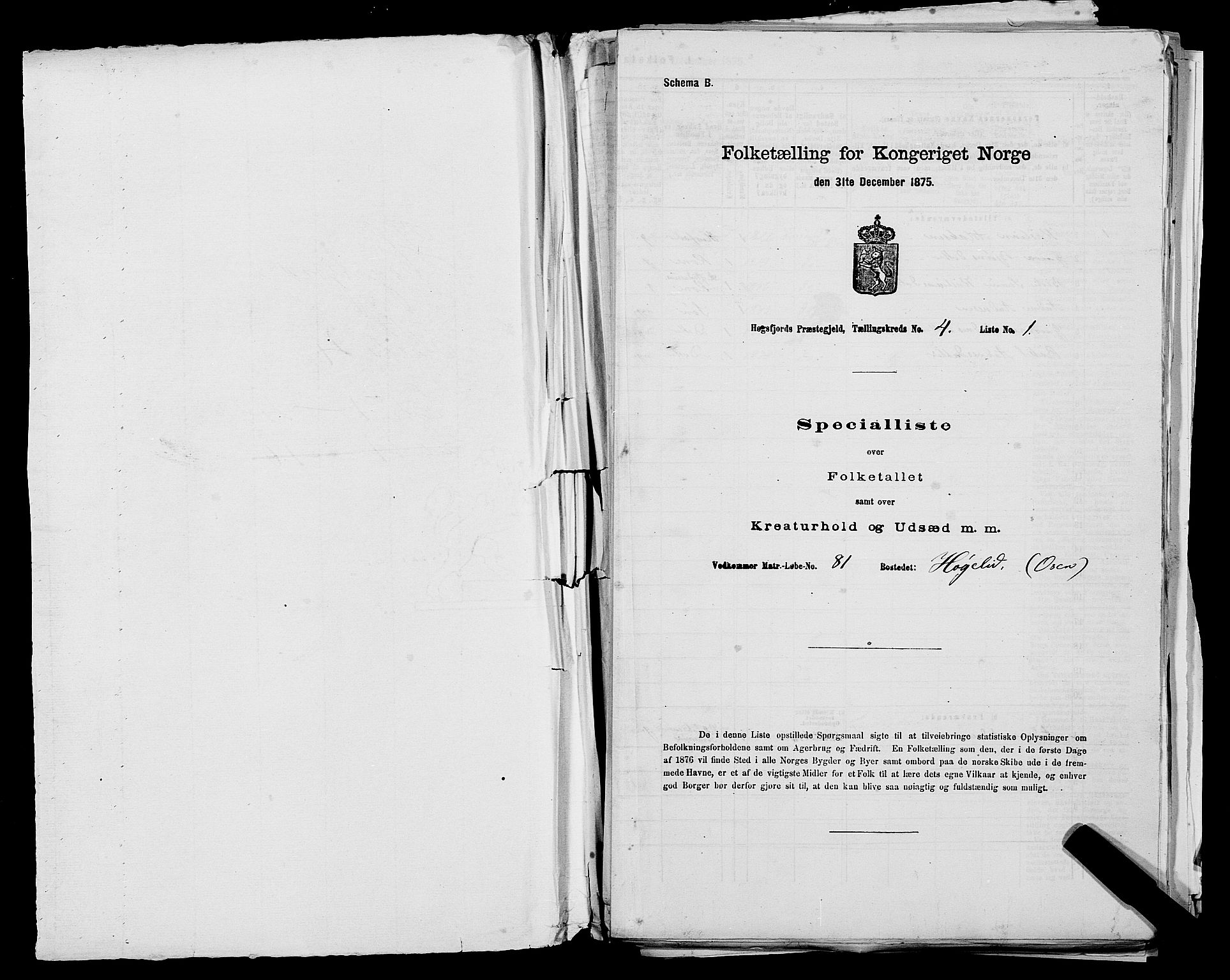 SAST, Folketelling 1875 for 1128P Høgsfjord prestegjeld, 1875, s. 315