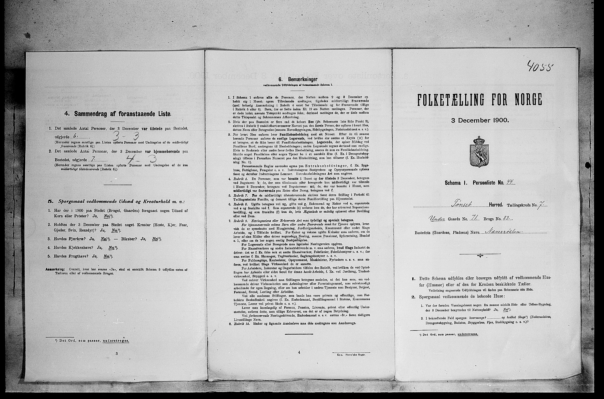 SAH, Folketelling 1900 for 0437 Tynset herred, 1900, s. 701