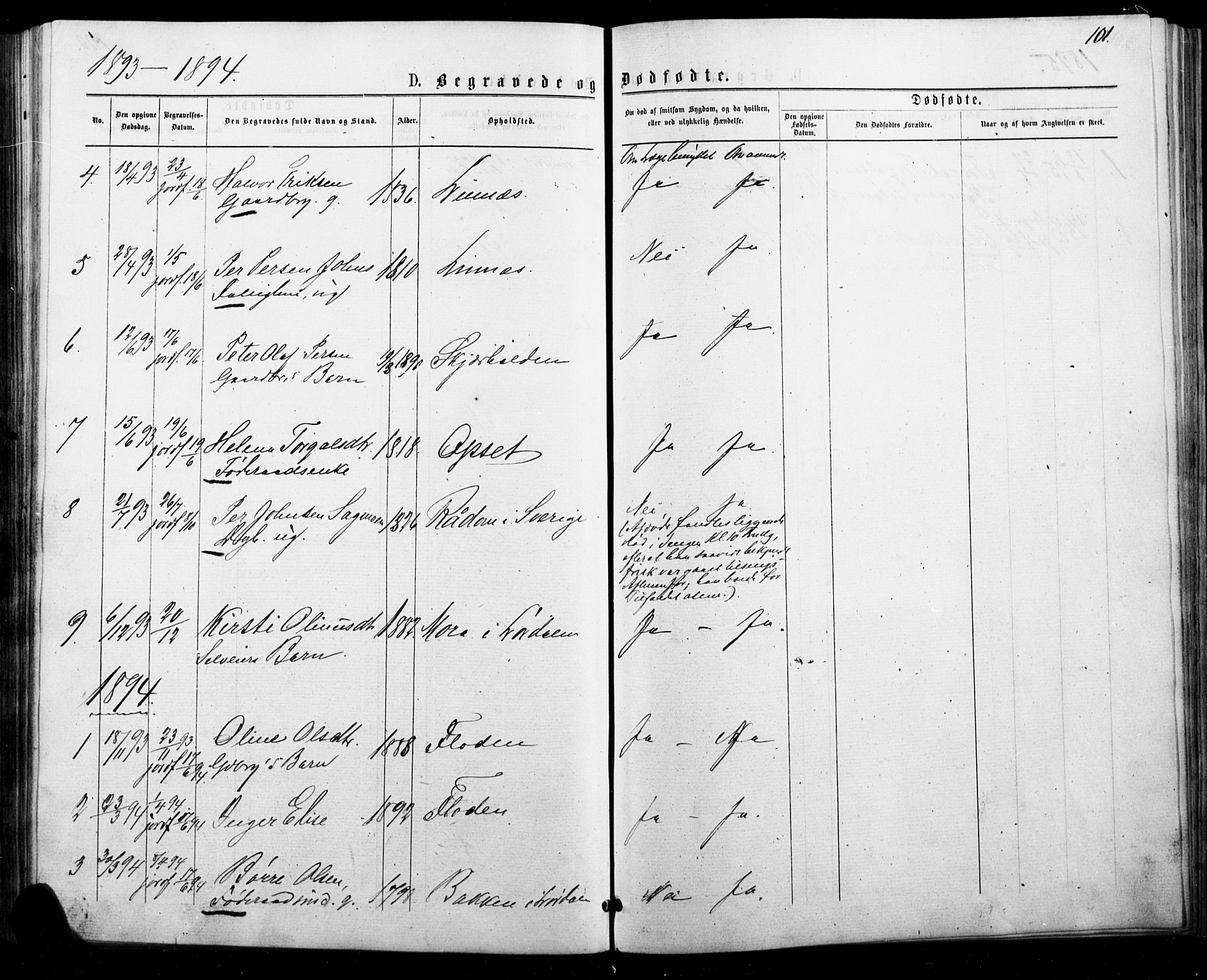 Trysil prestekontor, AV/SAH-PREST-046/H/Ha/Haa/L0010: Ministerialbok nr. 10, 1872-1895, s. 101