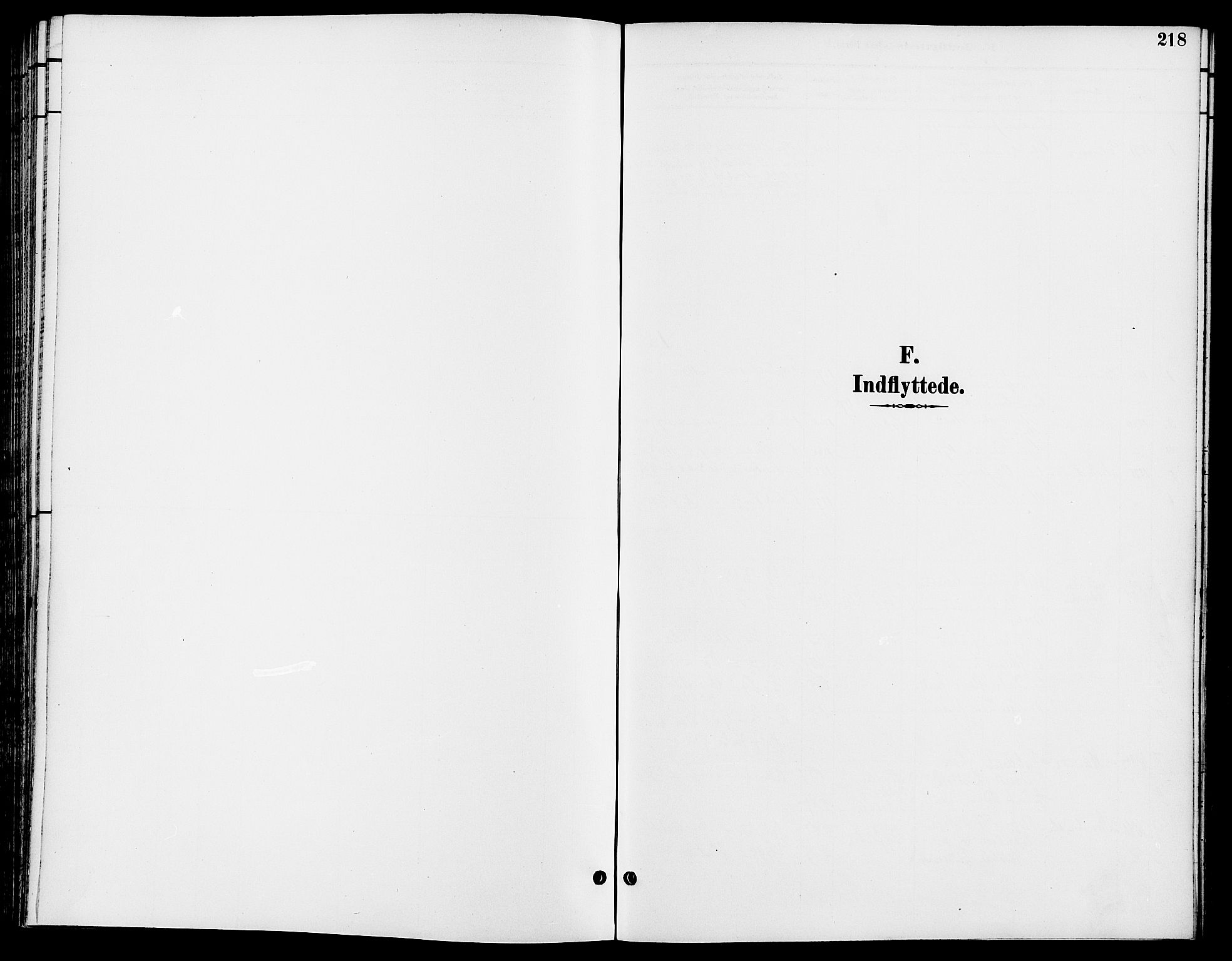 Ringsaker prestekontor, SAH/PREST-014/L/La/L0014: Klokkerbok nr. 14, 1891-1904, s. 218