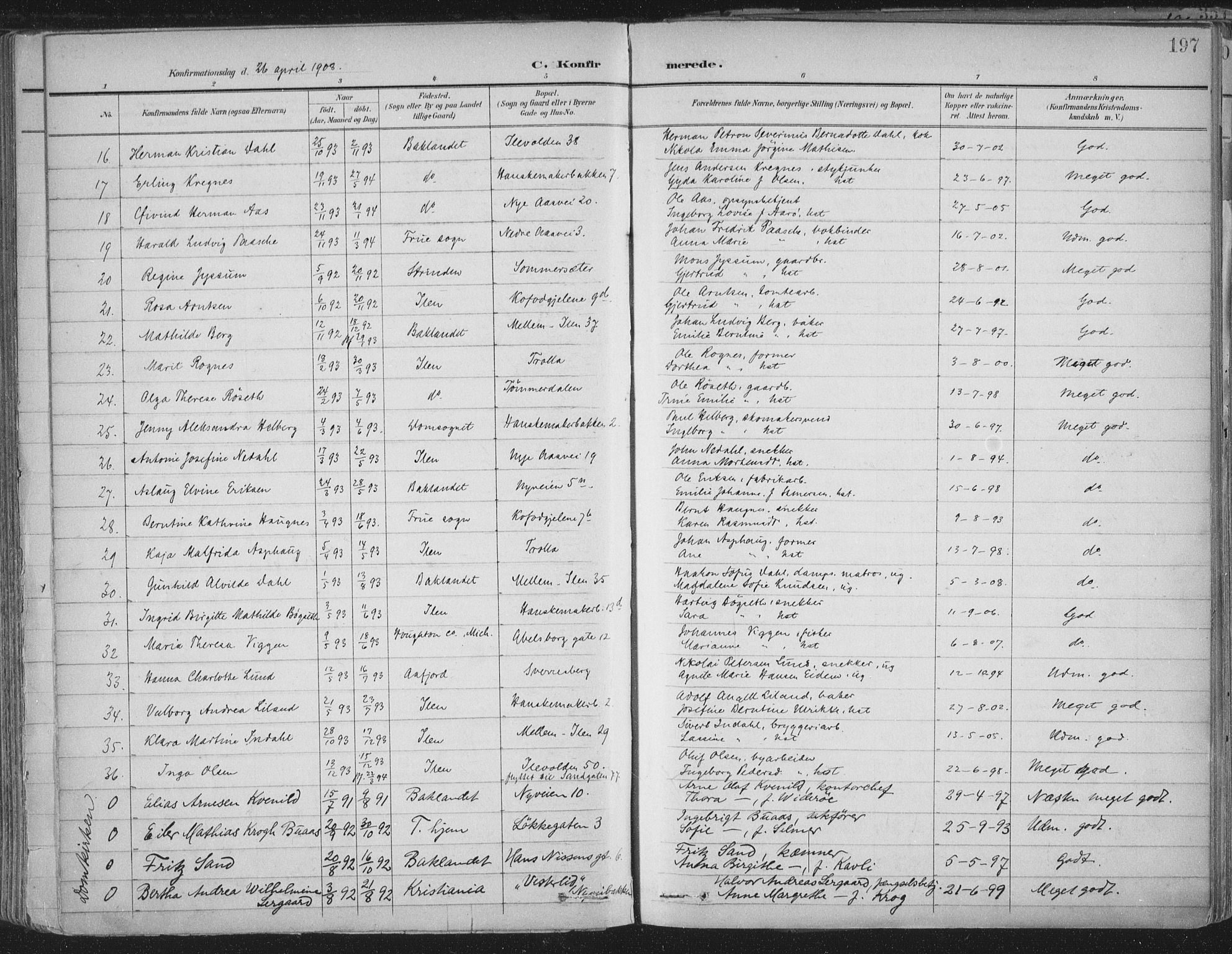 Ministerialprotokoller, klokkerbøker og fødselsregistre - Sør-Trøndelag, AV/SAT-A-1456/603/L0167: Ministerialbok nr. 603A06, 1896-1932, s. 197