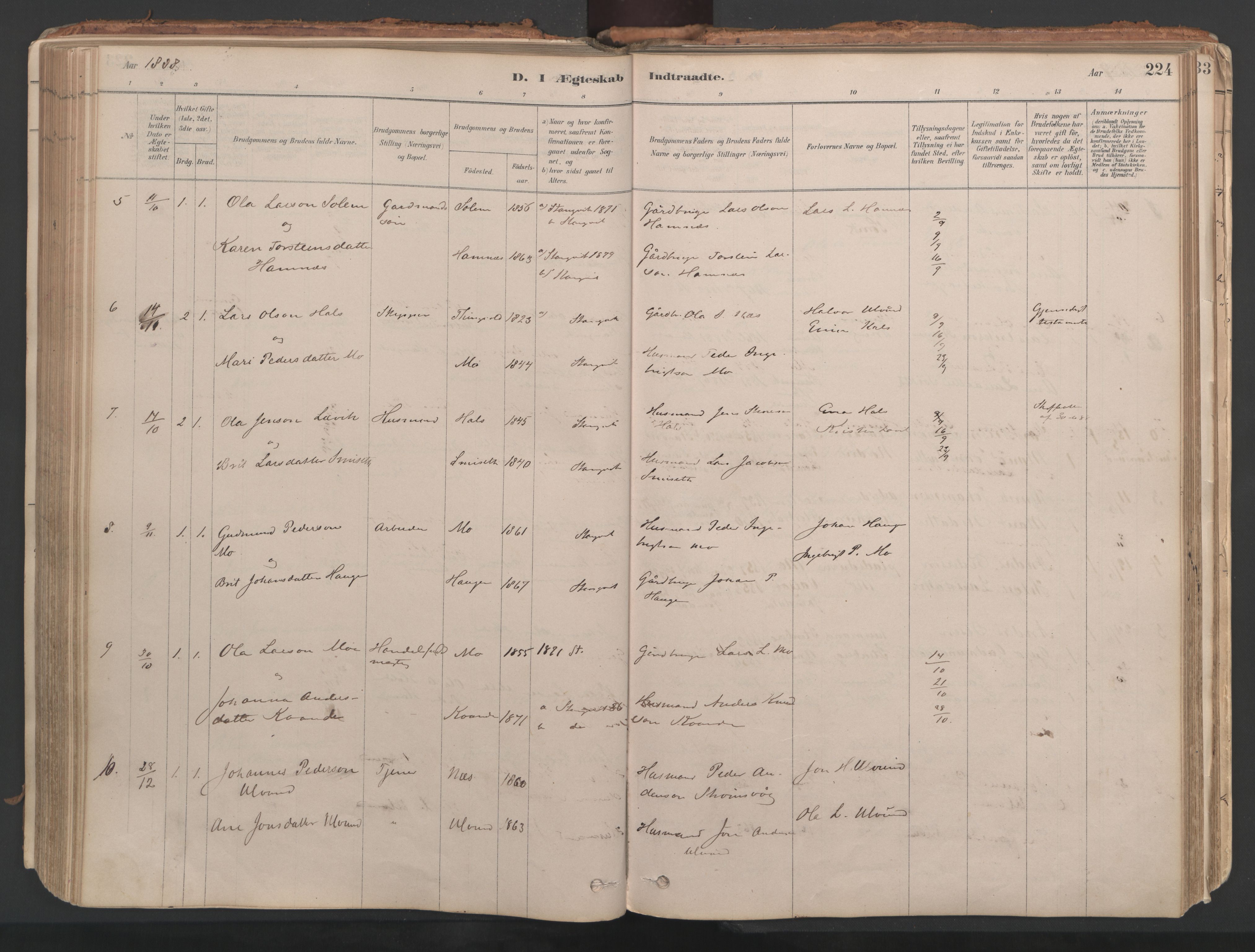 Ministerialprotokoller, klokkerbøker og fødselsregistre - Møre og Romsdal, AV/SAT-A-1454/592/L1029: Ministerialbok nr. 592A07, 1879-1902, s. 224