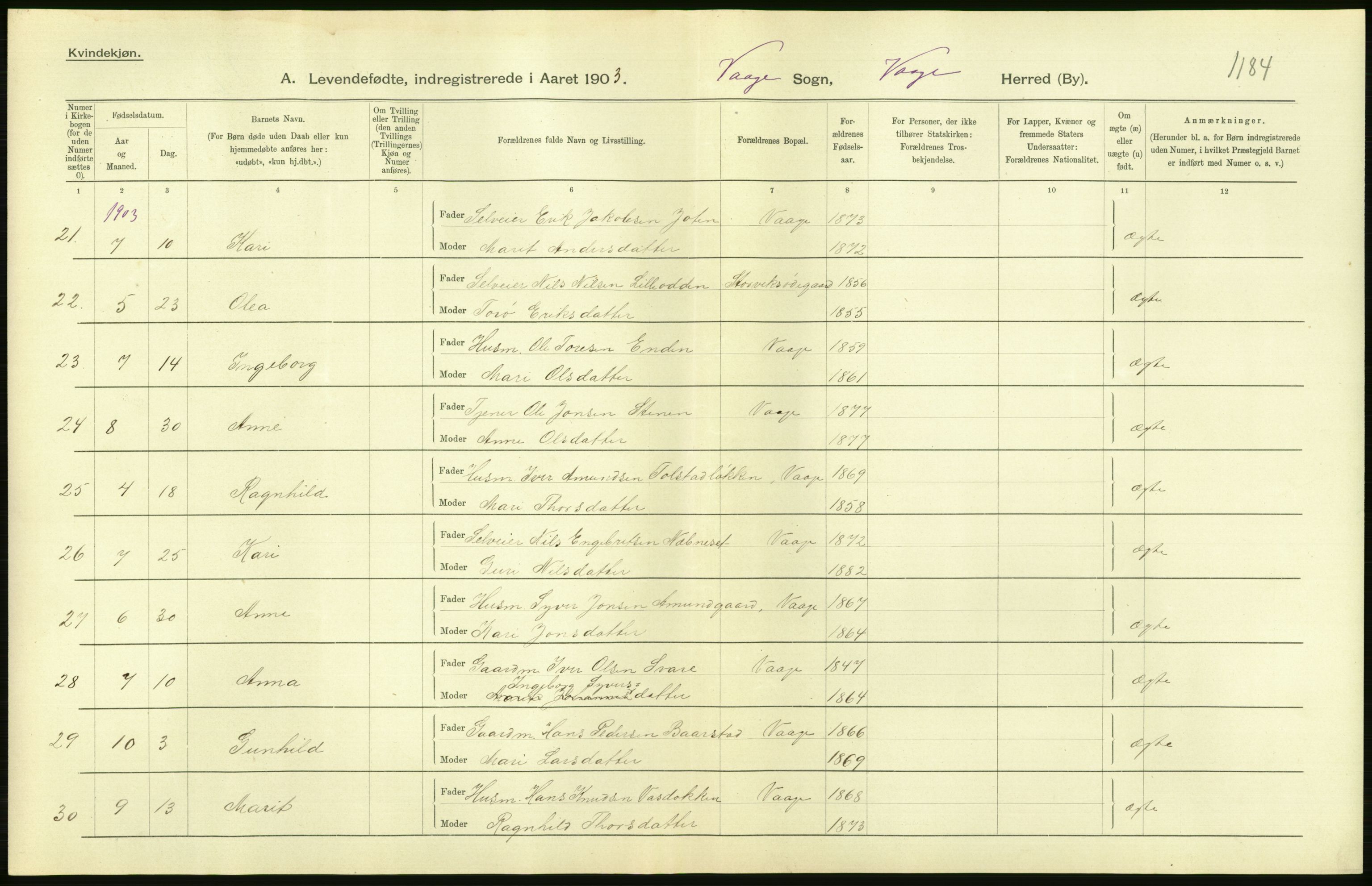 Statistisk sentralbyrå, Sosiodemografiske emner, Befolkning, AV/RA-S-2228/D/Df/Dfa/Dfaa/L0006: Kristians amt: Fødte, gifte, døde, 1903, s. 38