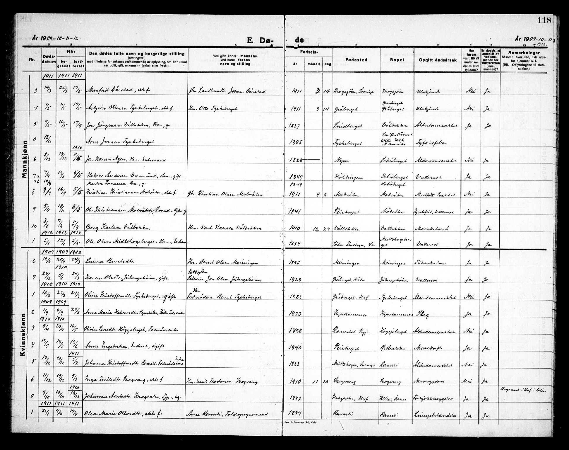 Åsnes prestekontor, SAH/PREST-042/H/Ha/Haa/L0000E: Ministerialbok nr. 0C, 1890-1929, s. 118