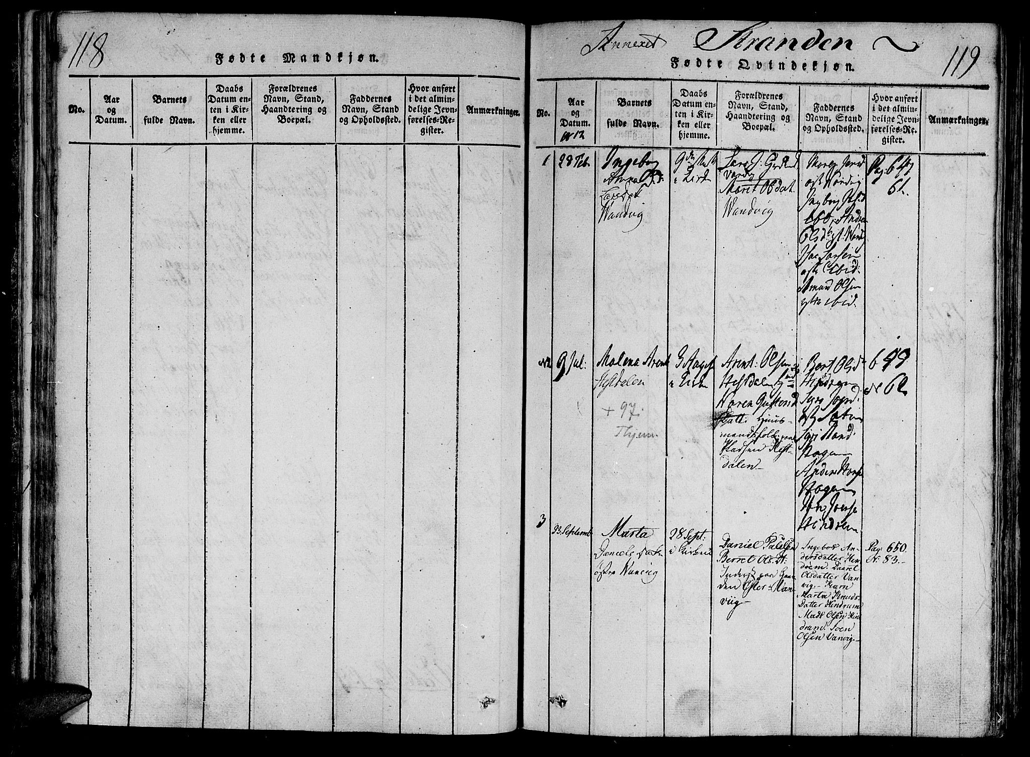 Ministerialprotokoller, klokkerbøker og fødselsregistre - Nord-Trøndelag, AV/SAT-A-1458/701/L0005: Ministerialbok nr. 701A05 /2, 1816-1825, s. 118-119