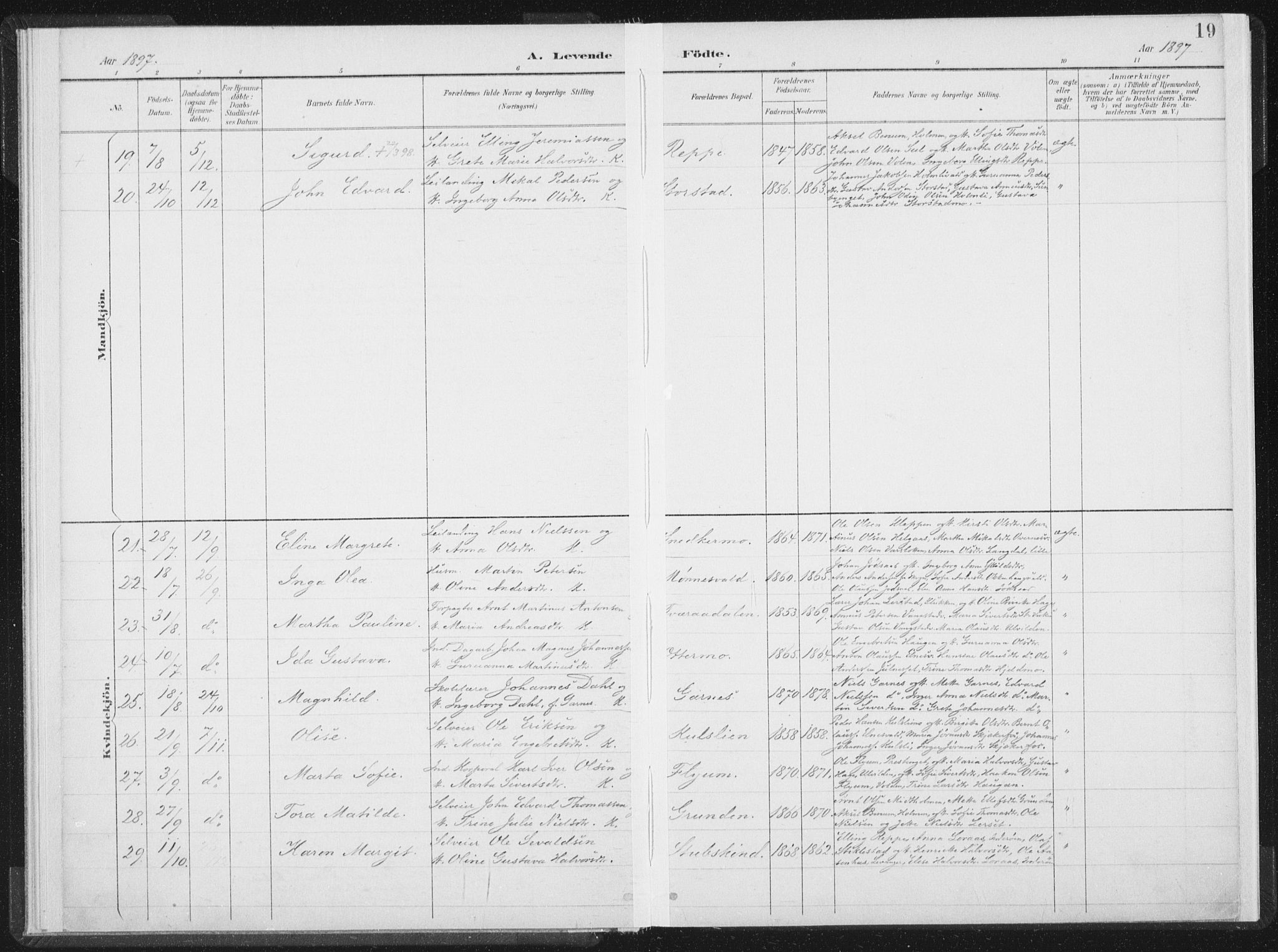 Ministerialprotokoller, klokkerbøker og fødselsregistre - Nord-Trøndelag, SAT/A-1458/724/L0263: Ministerialbok nr. 724A01, 1891-1907, s. 19