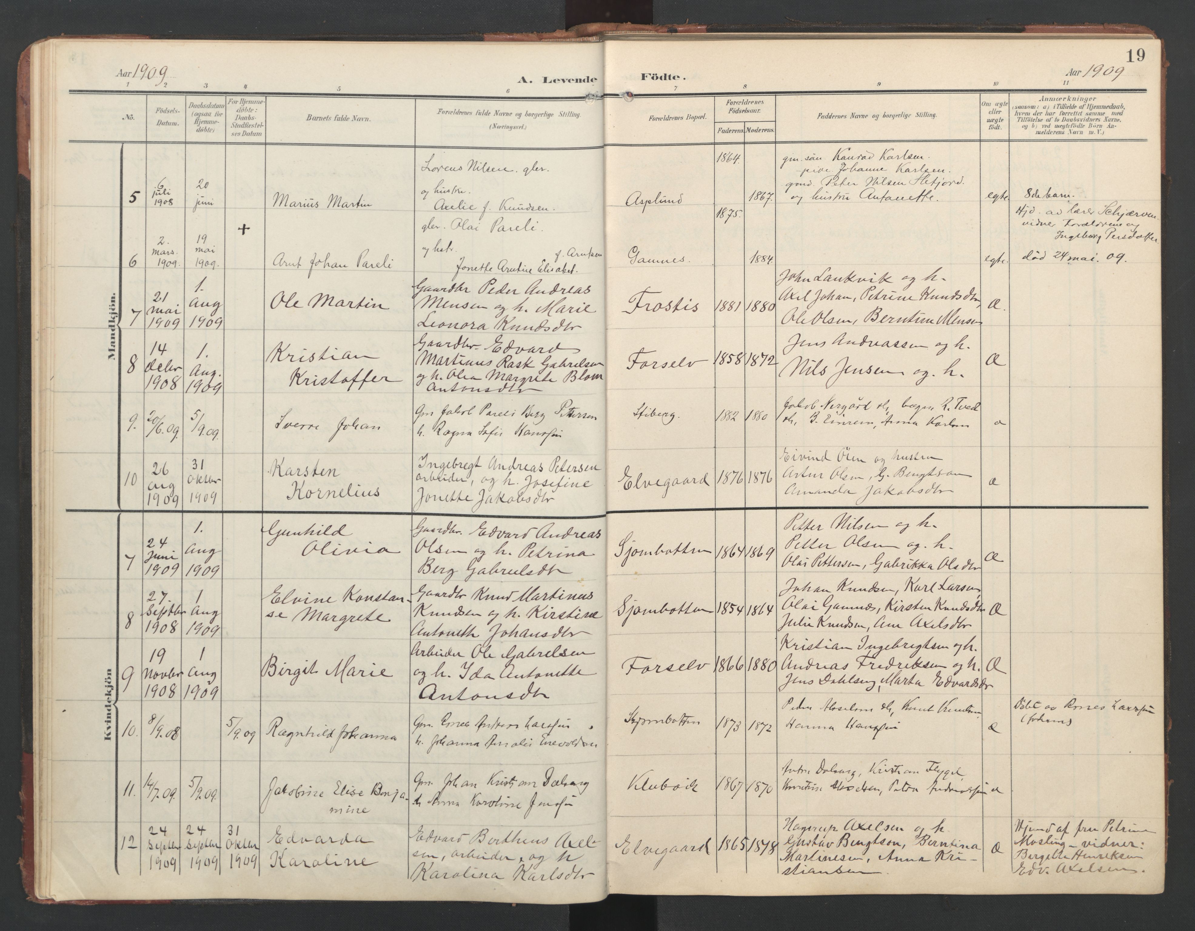 Ministerialprotokoller, klokkerbøker og fødselsregistre - Nordland, AV/SAT-A-1459/867/L0966: Klokkerbok nr. 867C01, 1904-1952, s. 19