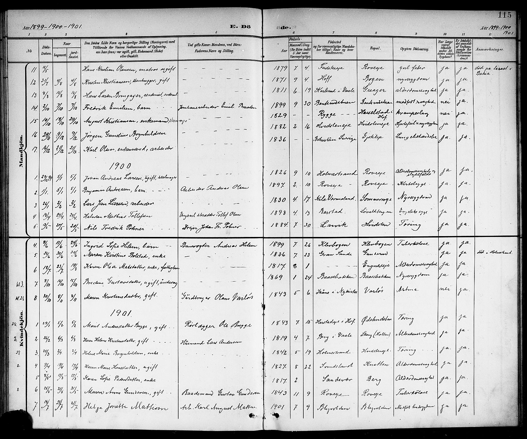Botne kirkebøker, AV/SAKO-A-340/G/Ga/L0004: Klokkerbok nr. I 4, 1899-1915, s. 115