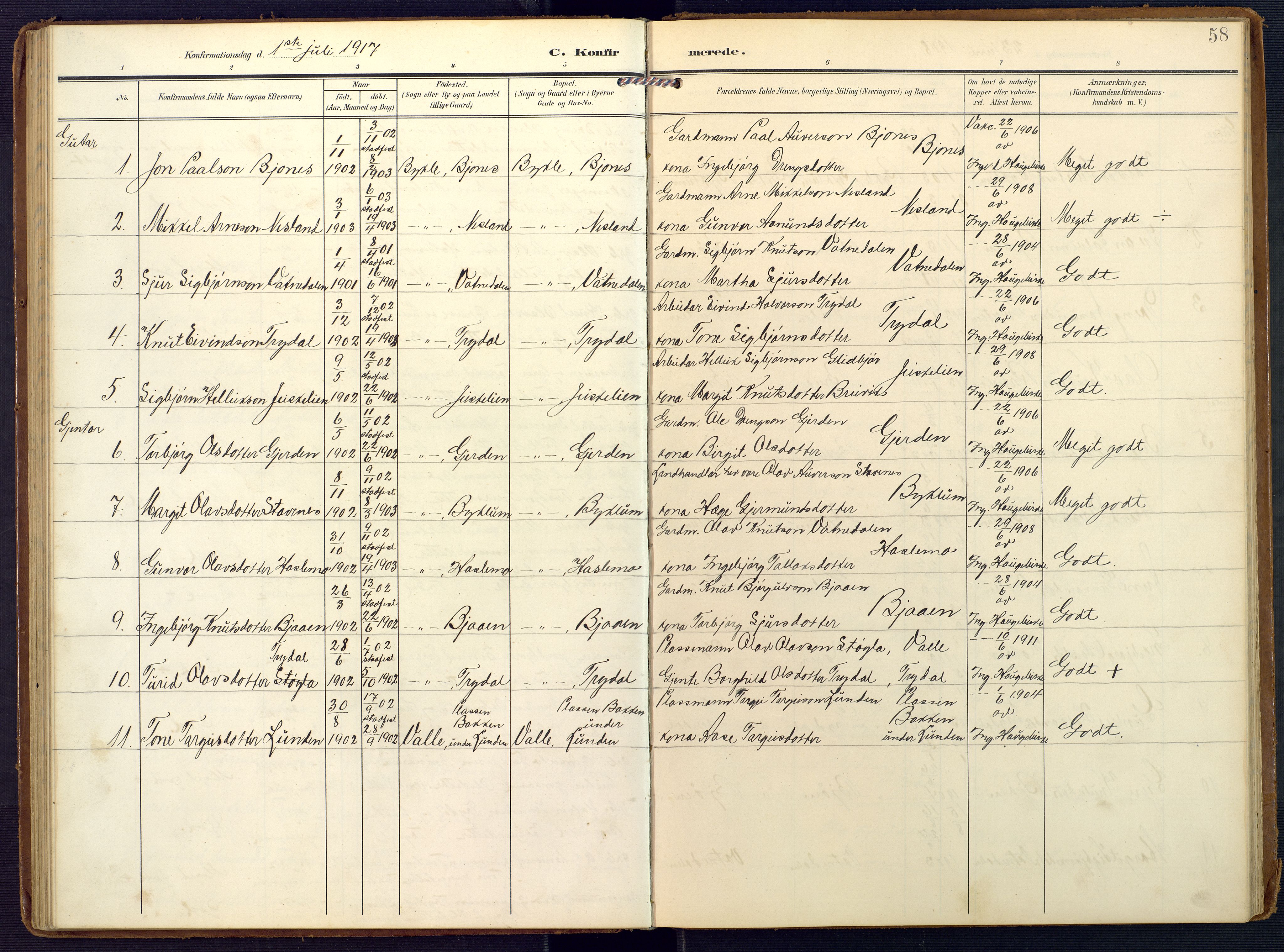 Valle sokneprestkontor, AV/SAK-1111-0044/F/Fa/Faa/L0002: Ministerialbok nr. A 2, 1907-1919, s. 58