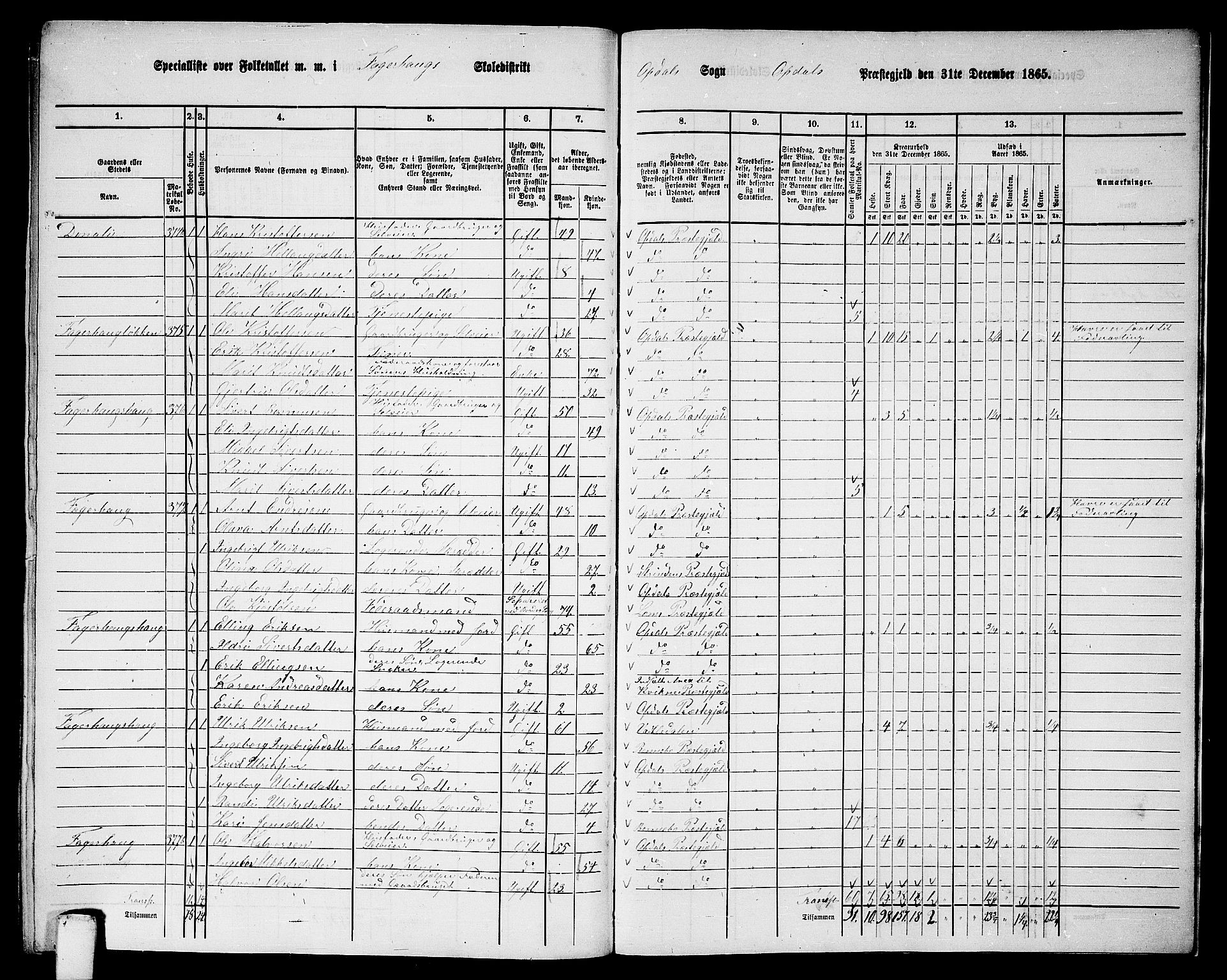RA, Folketelling 1865 for 1634P Oppdal prestegjeld, 1865, s. 189