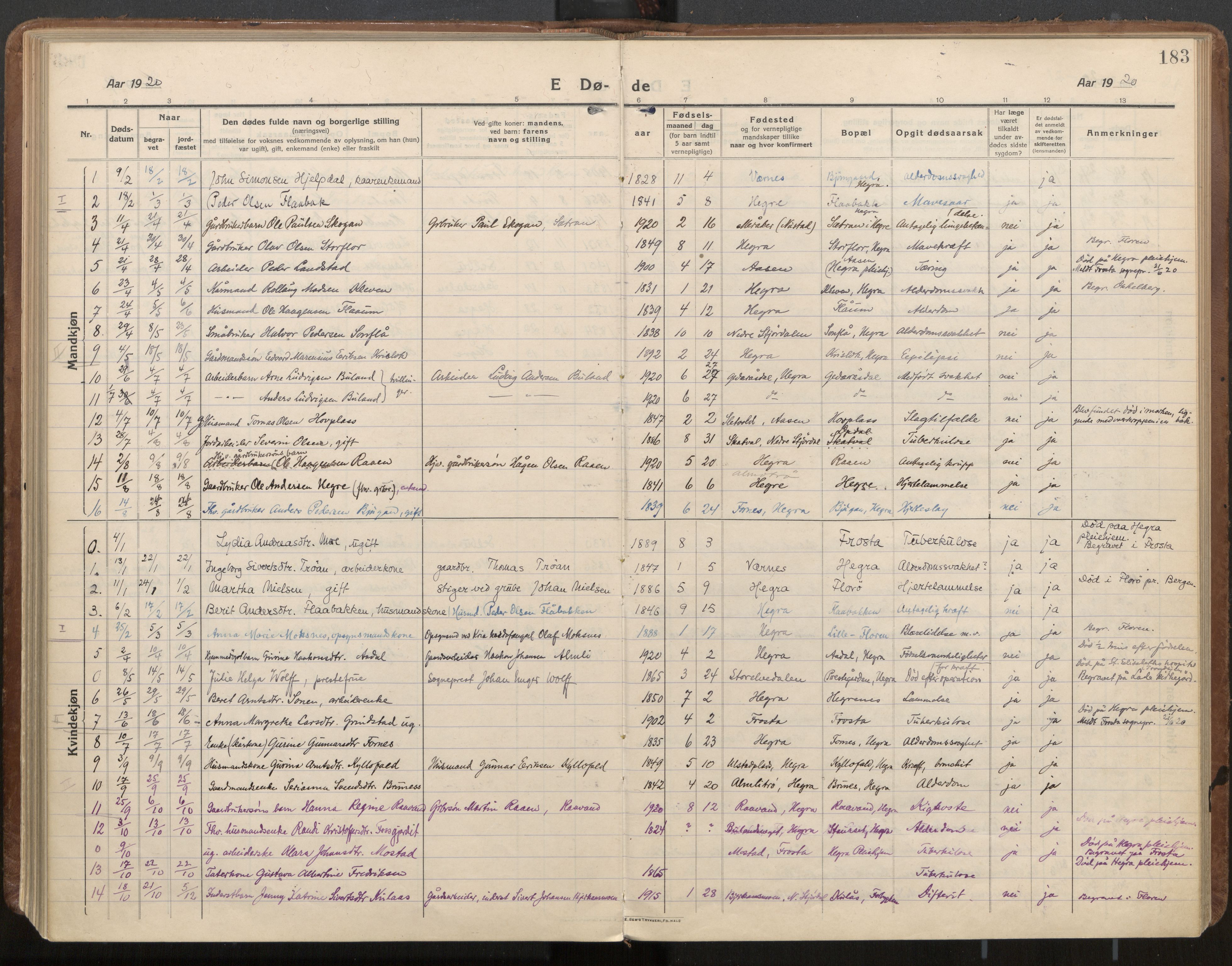 Ministerialprotokoller, klokkerbøker og fødselsregistre - Nord-Trøndelag, AV/SAT-A-1458/703/L0037: Ministerialbok nr. 703A10, 1915-1932, s. 183