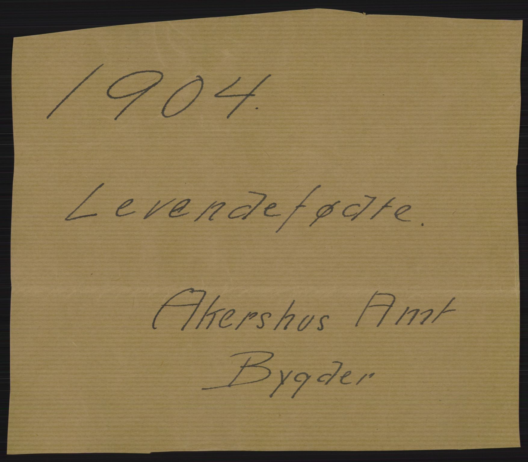 Statistisk sentralbyrå, Sosiodemografiske emner, Befolkning, RA/S-2228/D/Df/Dfa/Dfab/L0002: Akershus amt: Fødte, gifte, døde, 1904, s. 1