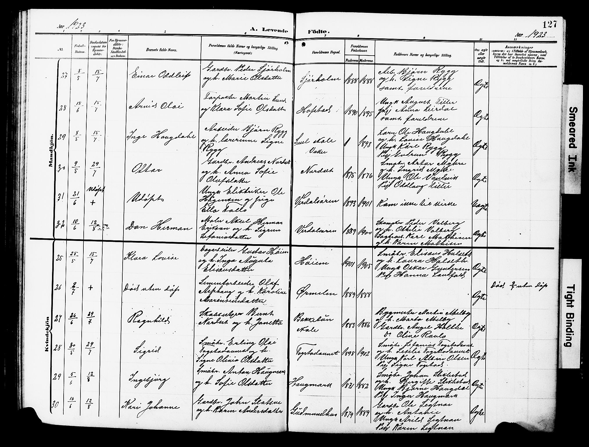 Ministerialprotokoller, klokkerbøker og fødselsregistre - Nord-Trøndelag, AV/SAT-A-1458/723/L0258: Klokkerbok nr. 723C06, 1908-1927, s. 127